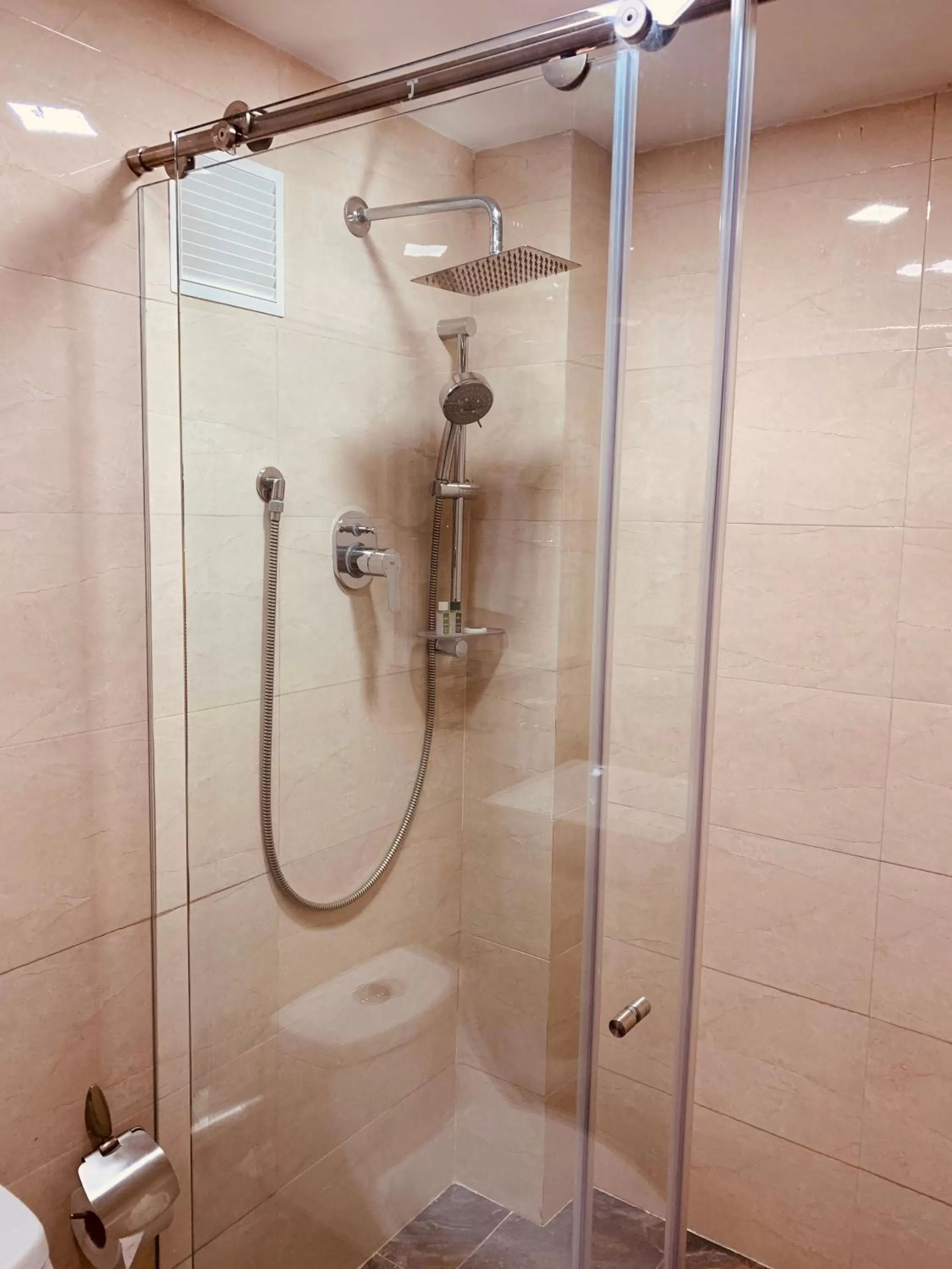 Shower in Hotel Veler