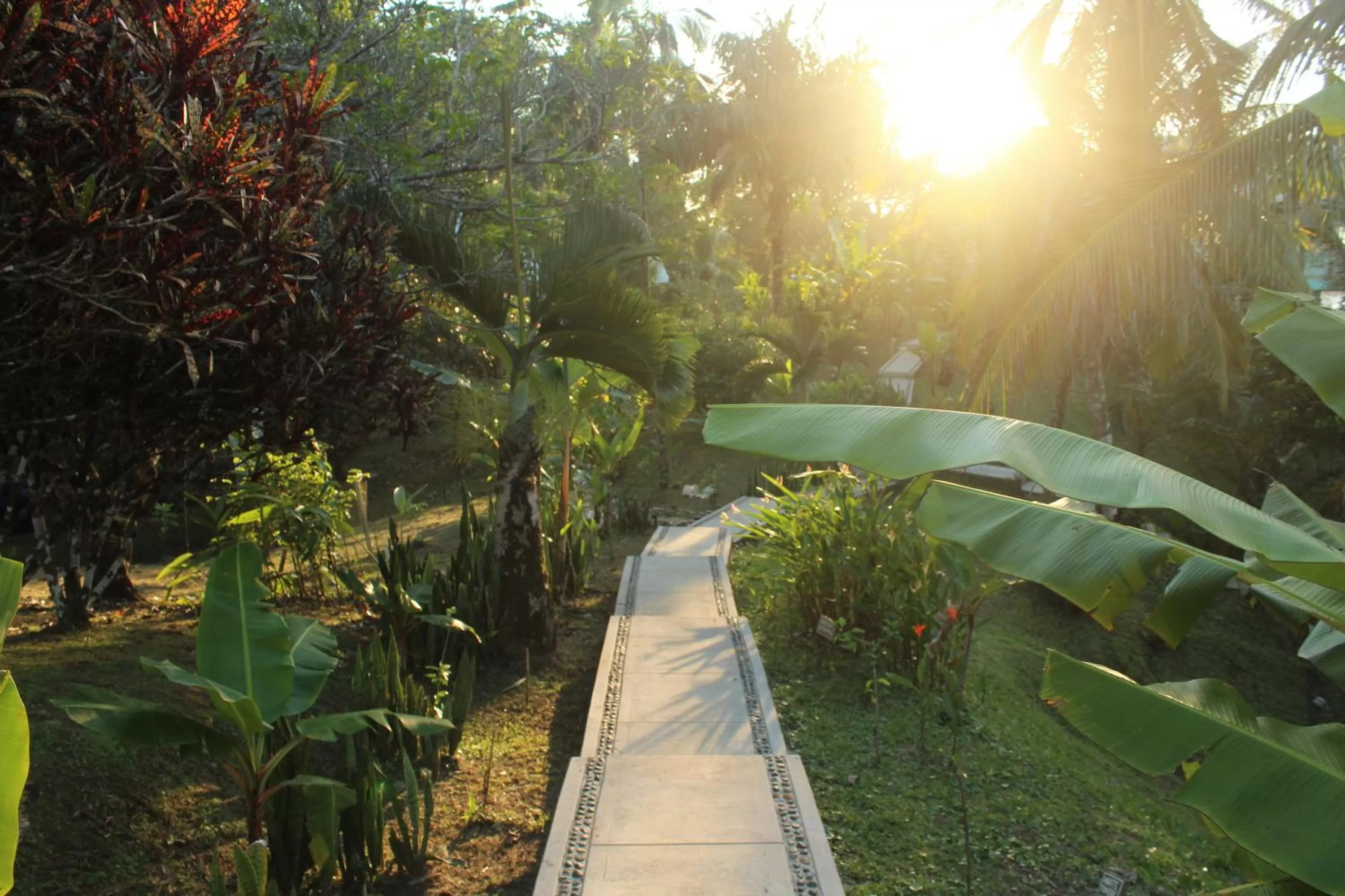 Garden in Bird Island Bungalows