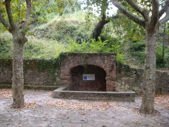 Activities, BBQ Facilities in Hotel Can Panyella