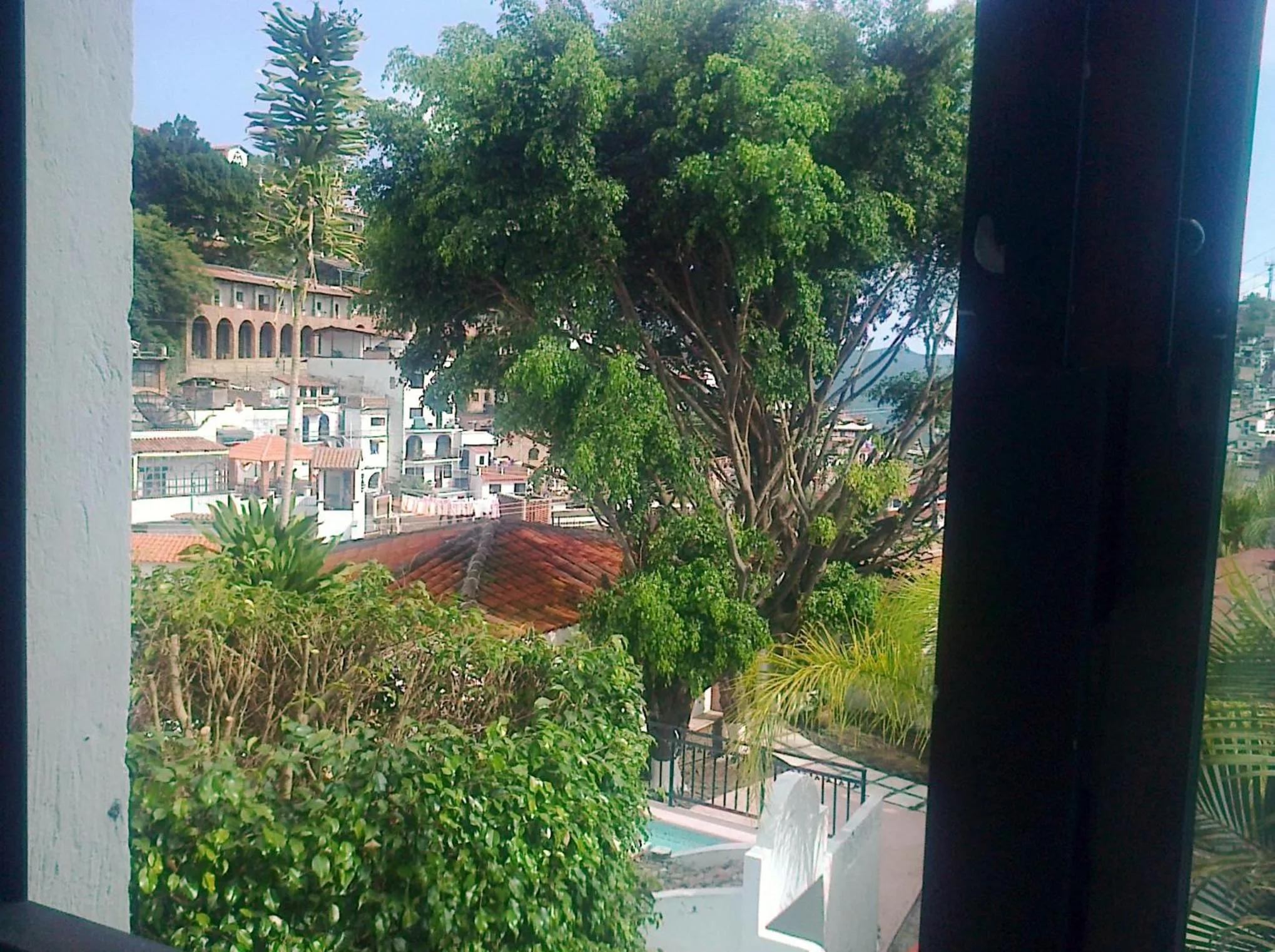 Garden in Hotel Real de San Diego