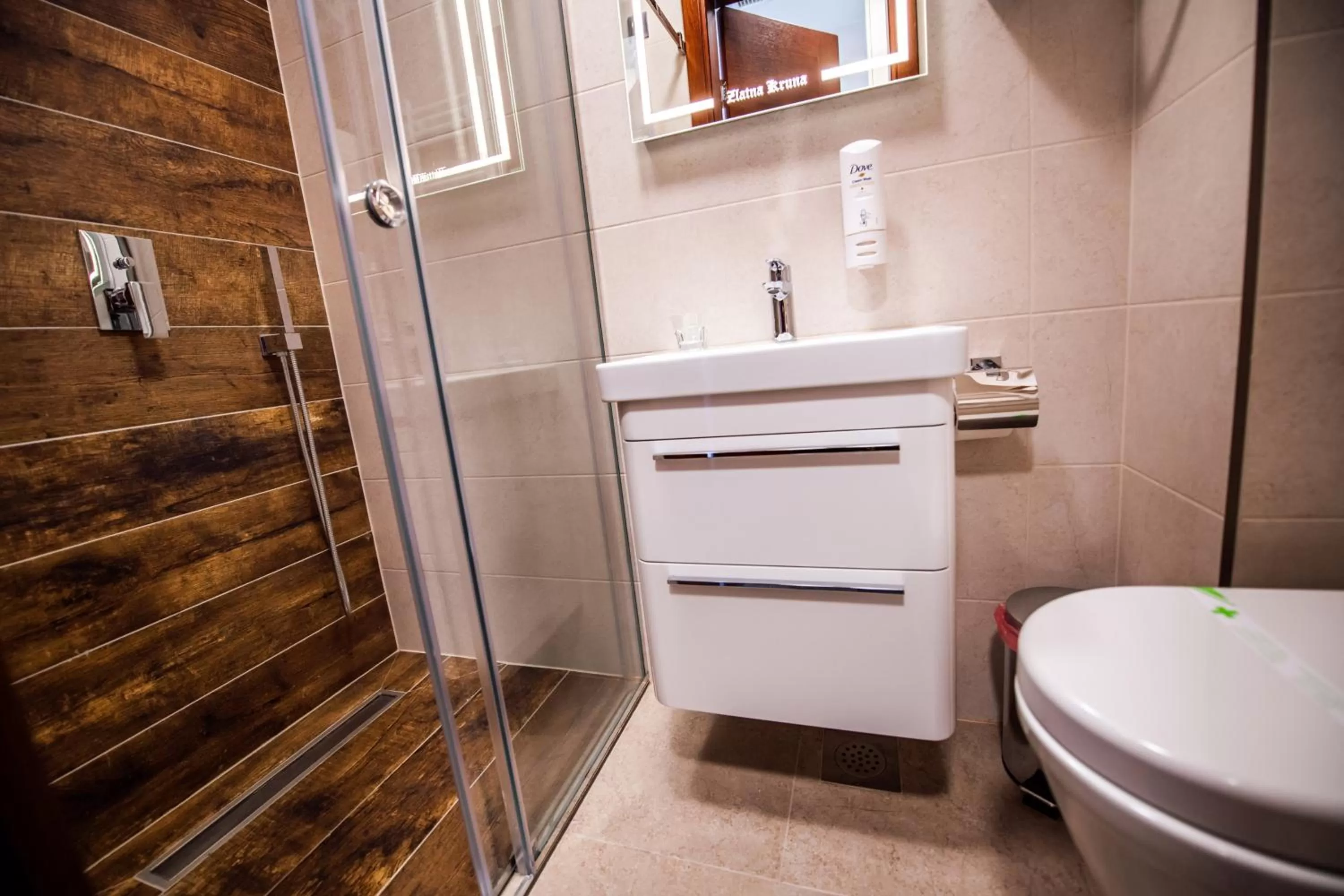 Bathroom in Zlatna Kruna