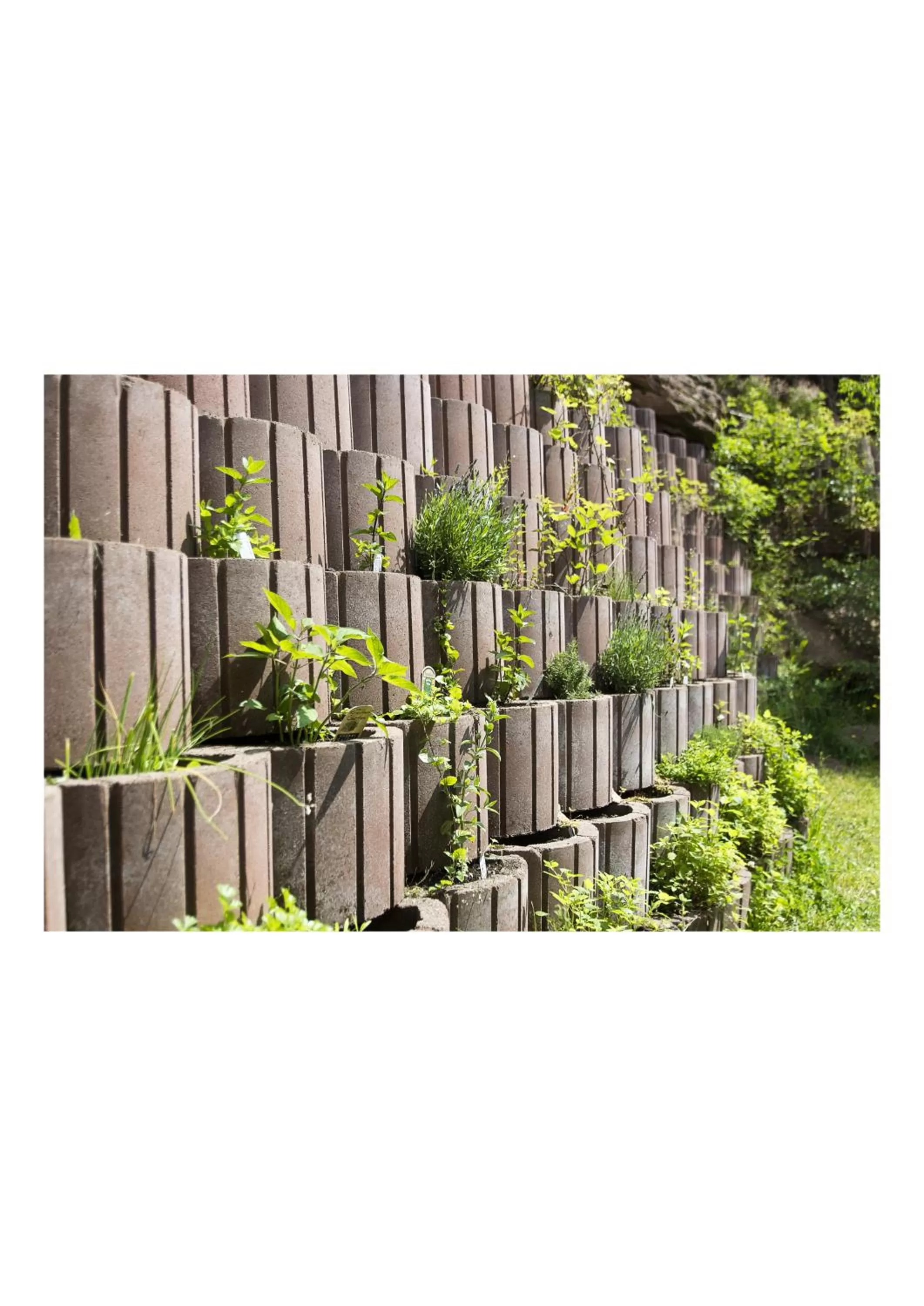 Facade/entrance in Öko-Landhotel Basler Hof