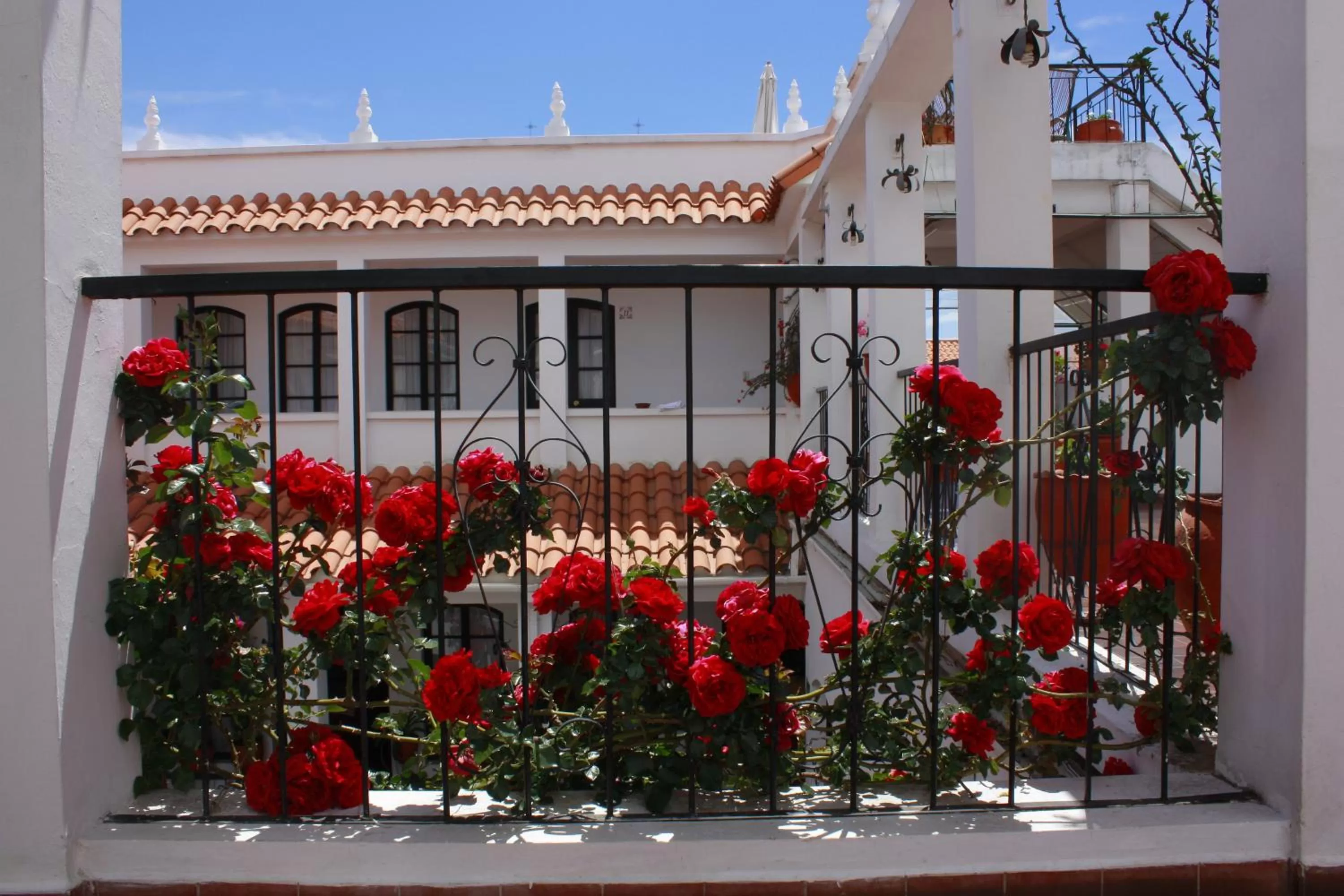 Balcony/Terrace in El Hotel de Su Merced