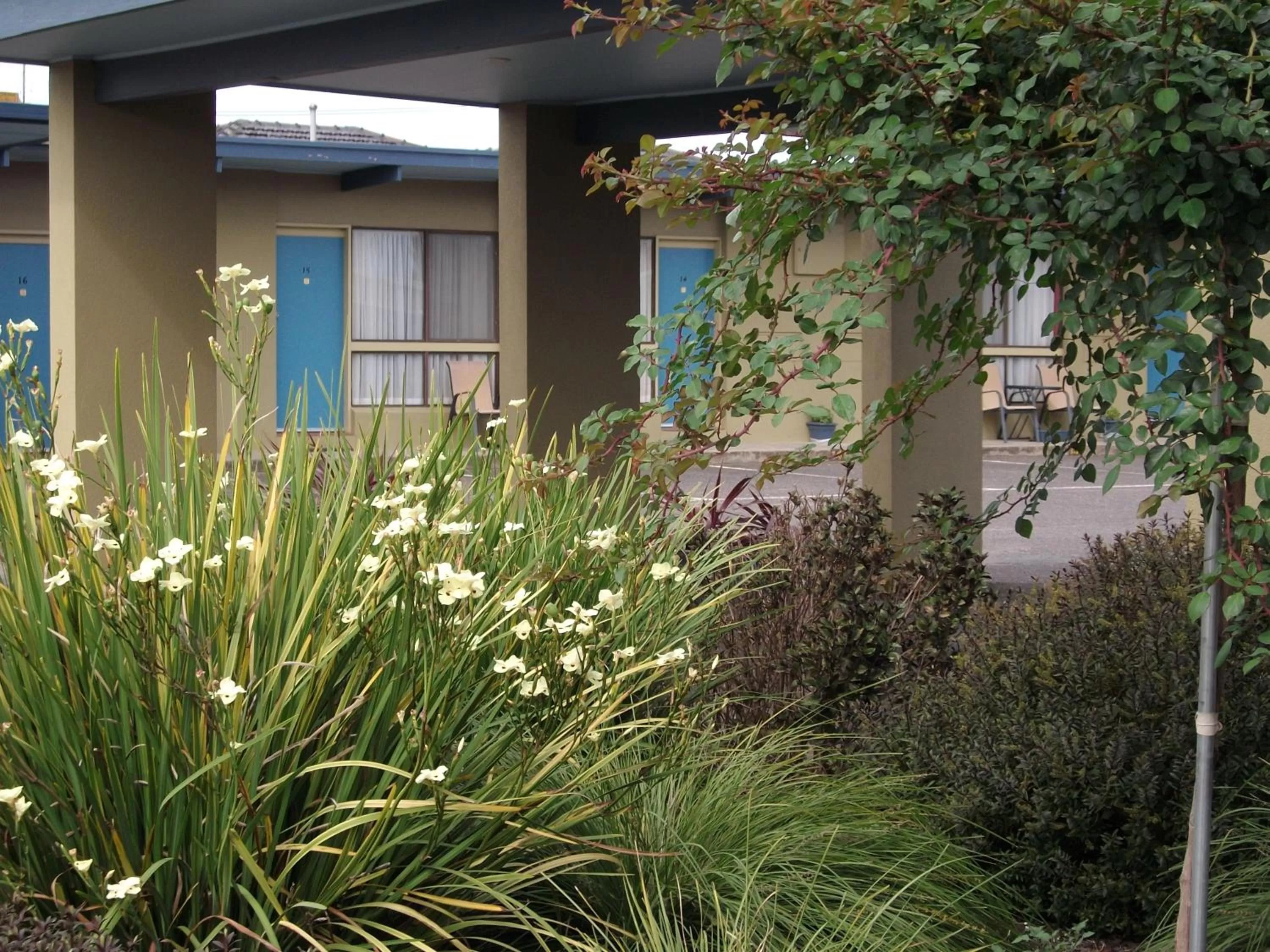 Garden in Otway Gate Motel