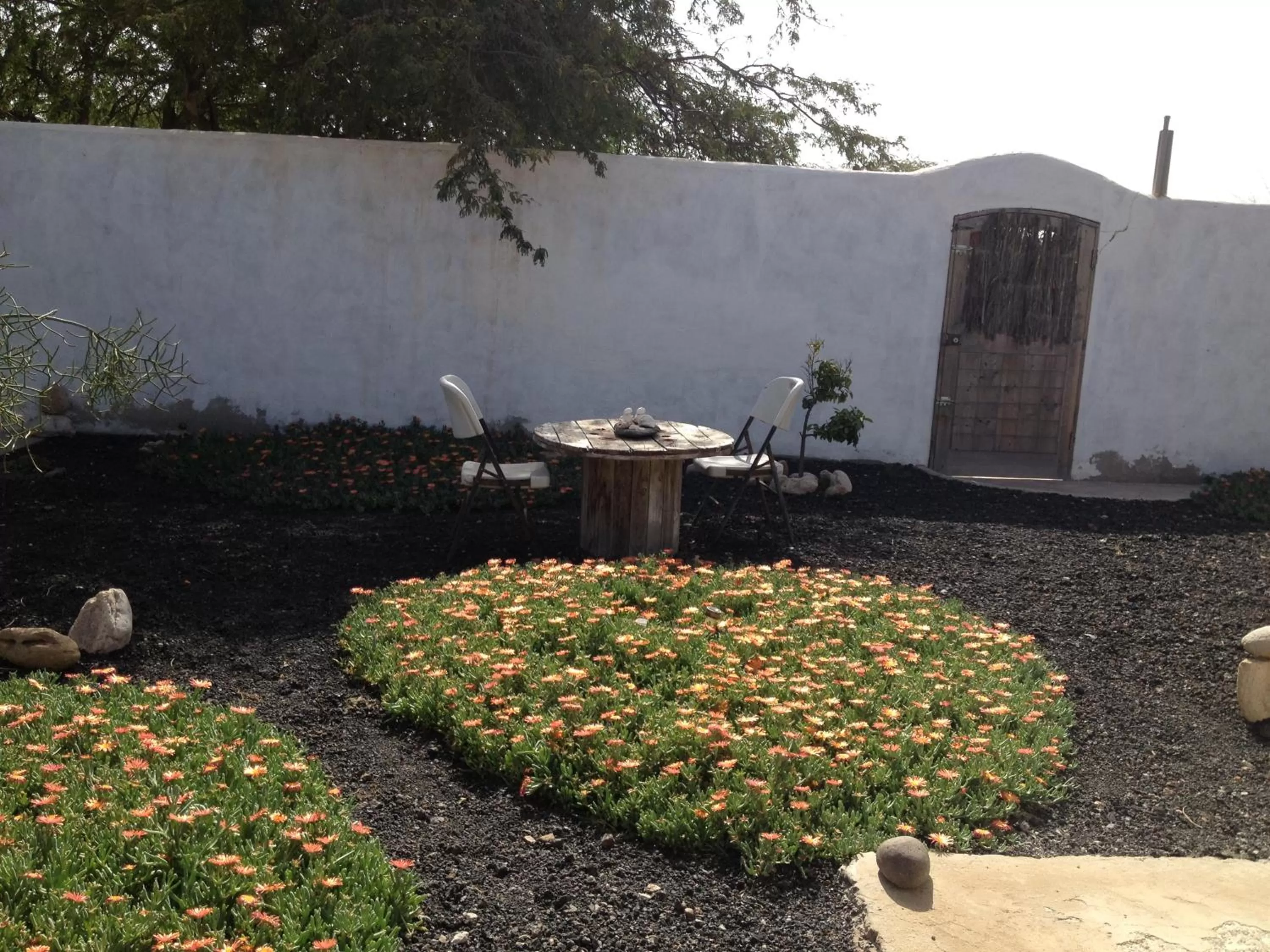 Patio in Villa Morabeza Guest House