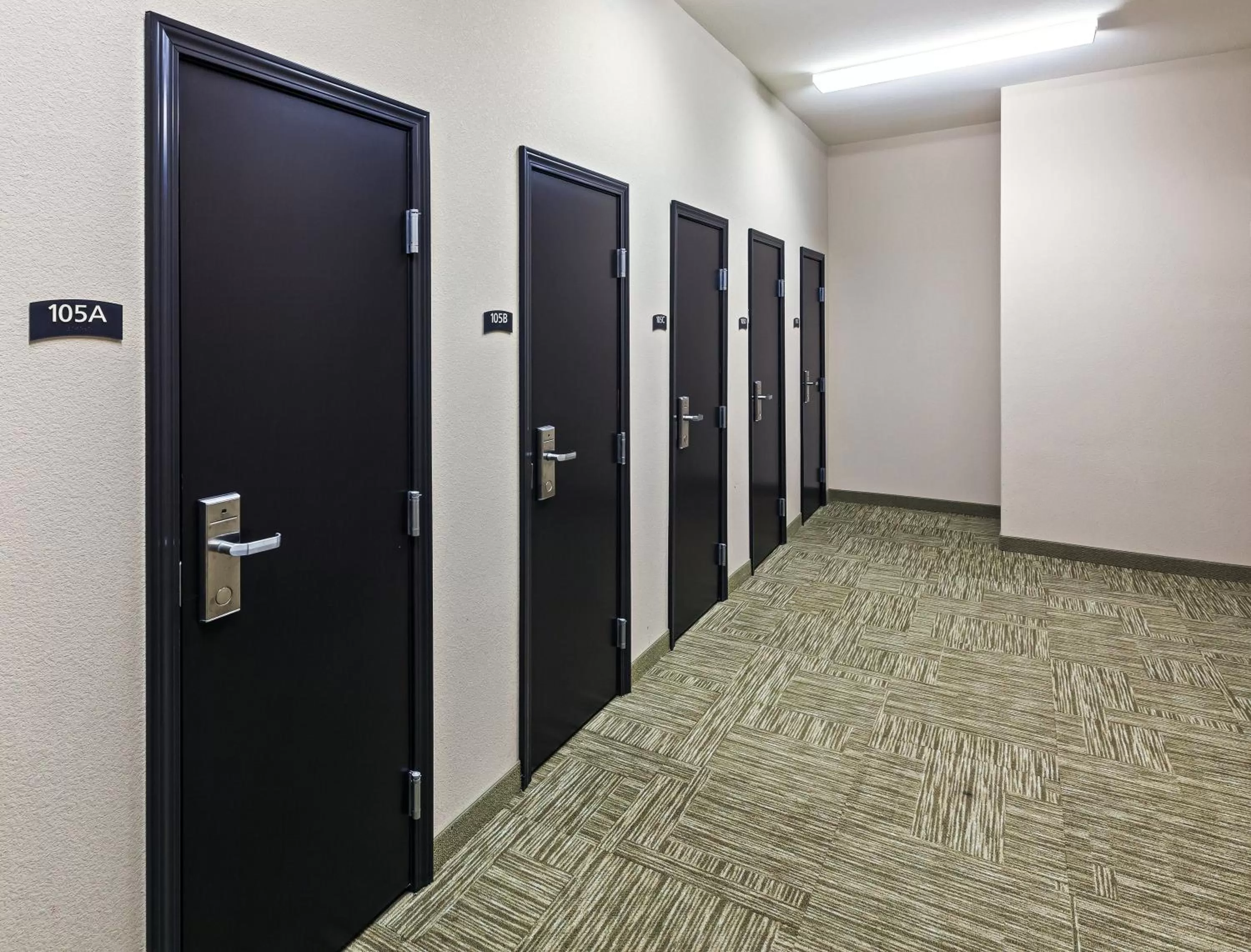 Decorative detail in Staybridge Suites Amarillo Western Crossing by IHG