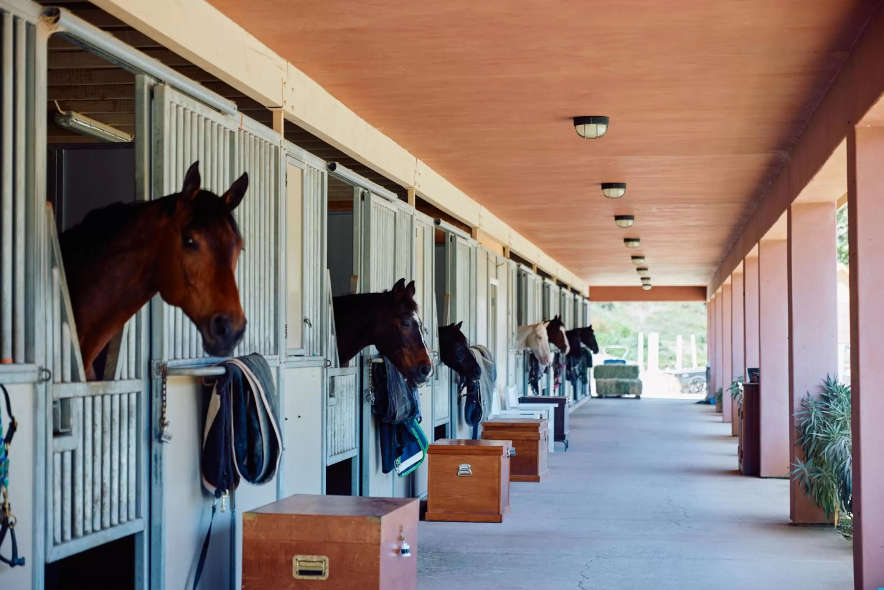 Horse-riding in Fairmont Grand Del Mar