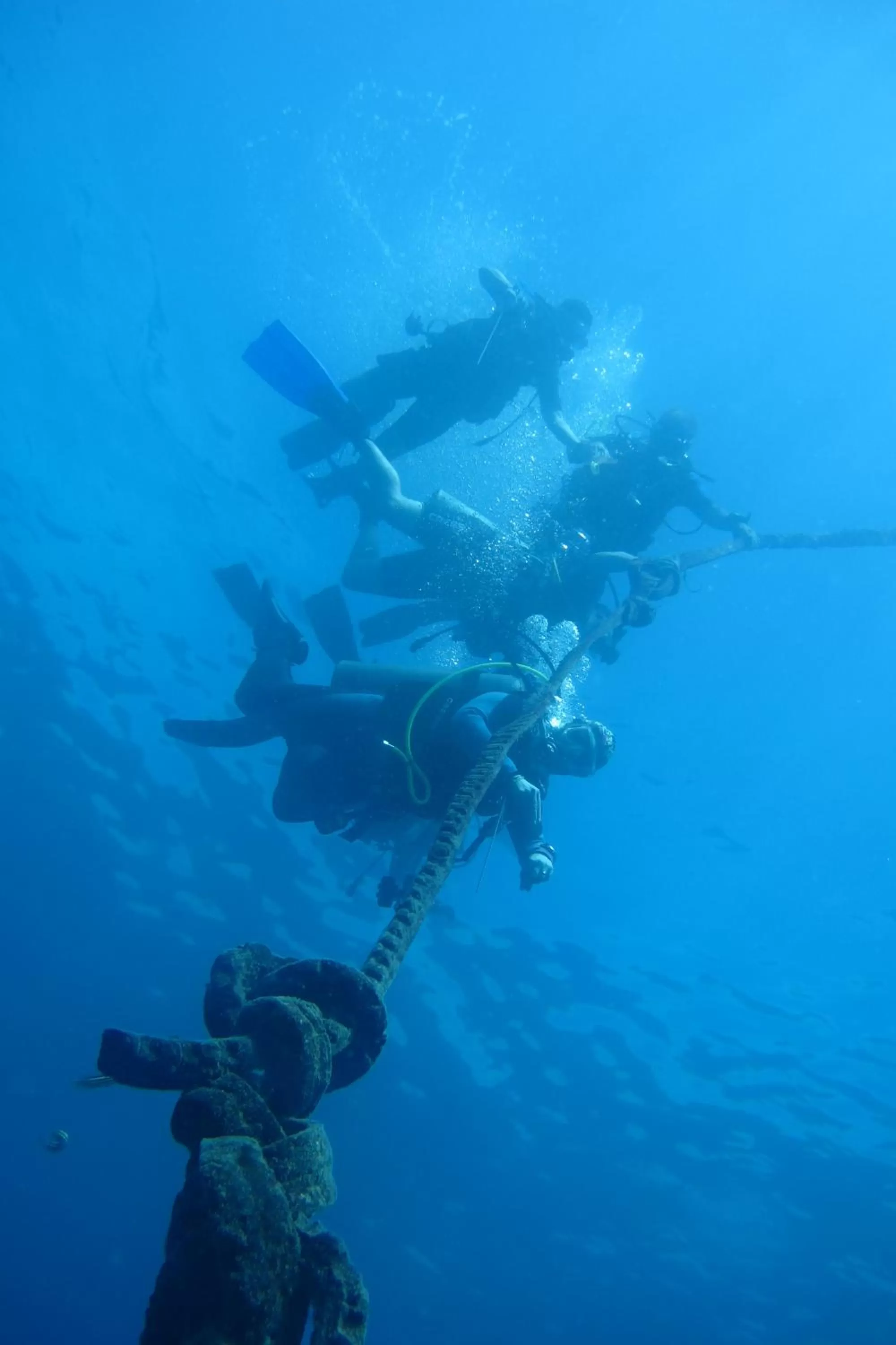 The Blue Orchid Resort