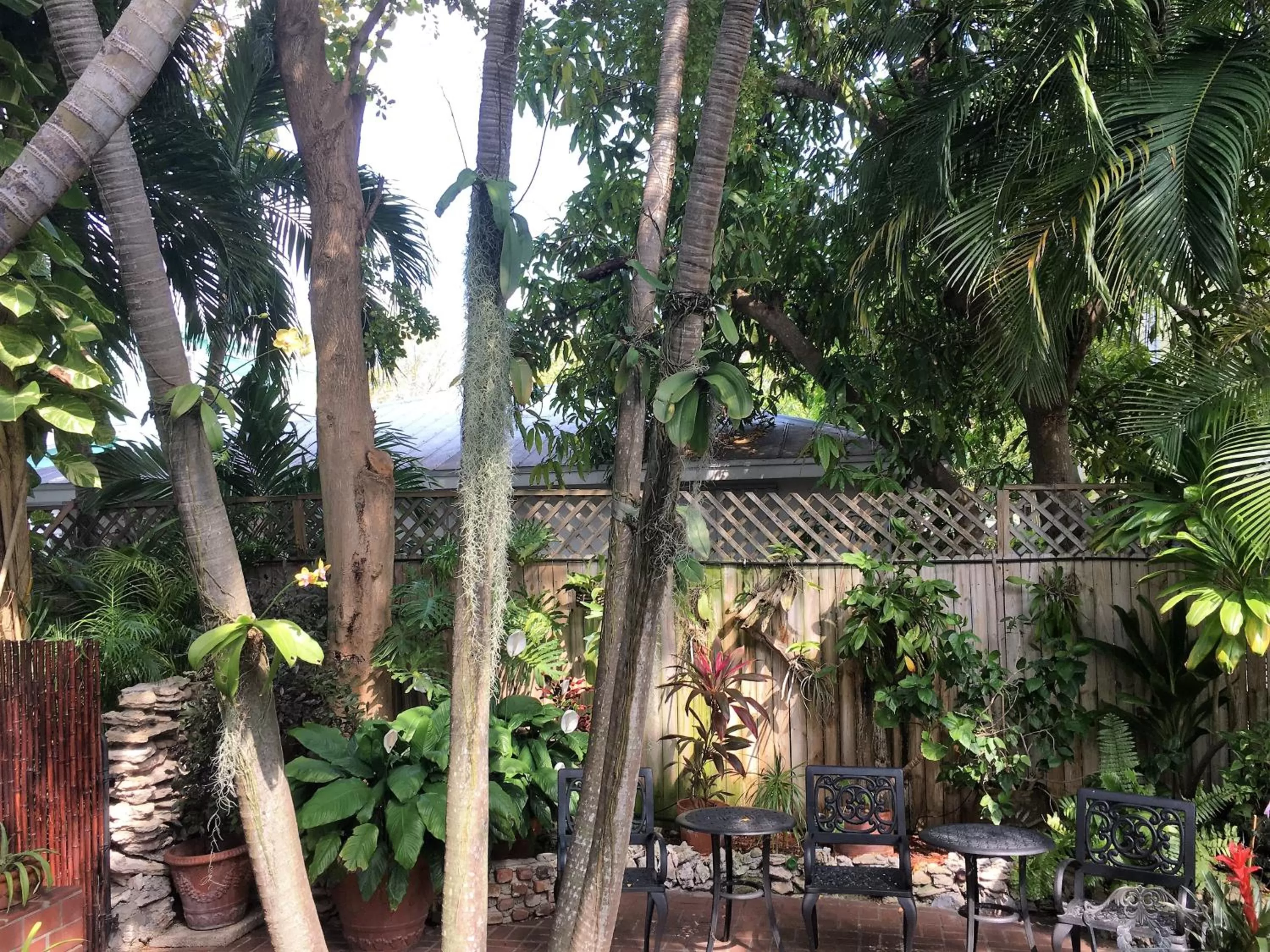 Garden in Douglas House