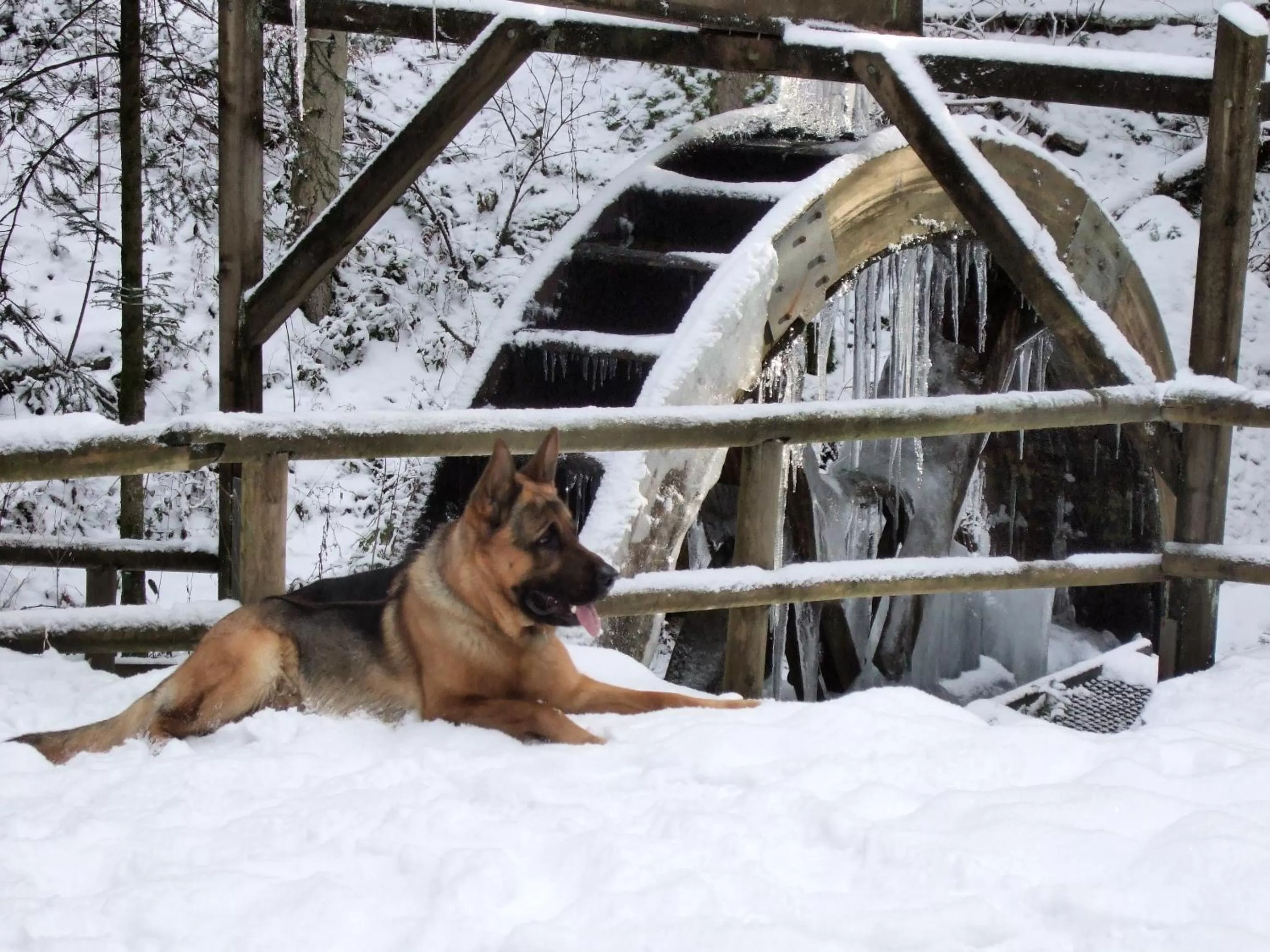 Nearby landmark in Landgasthof Anker