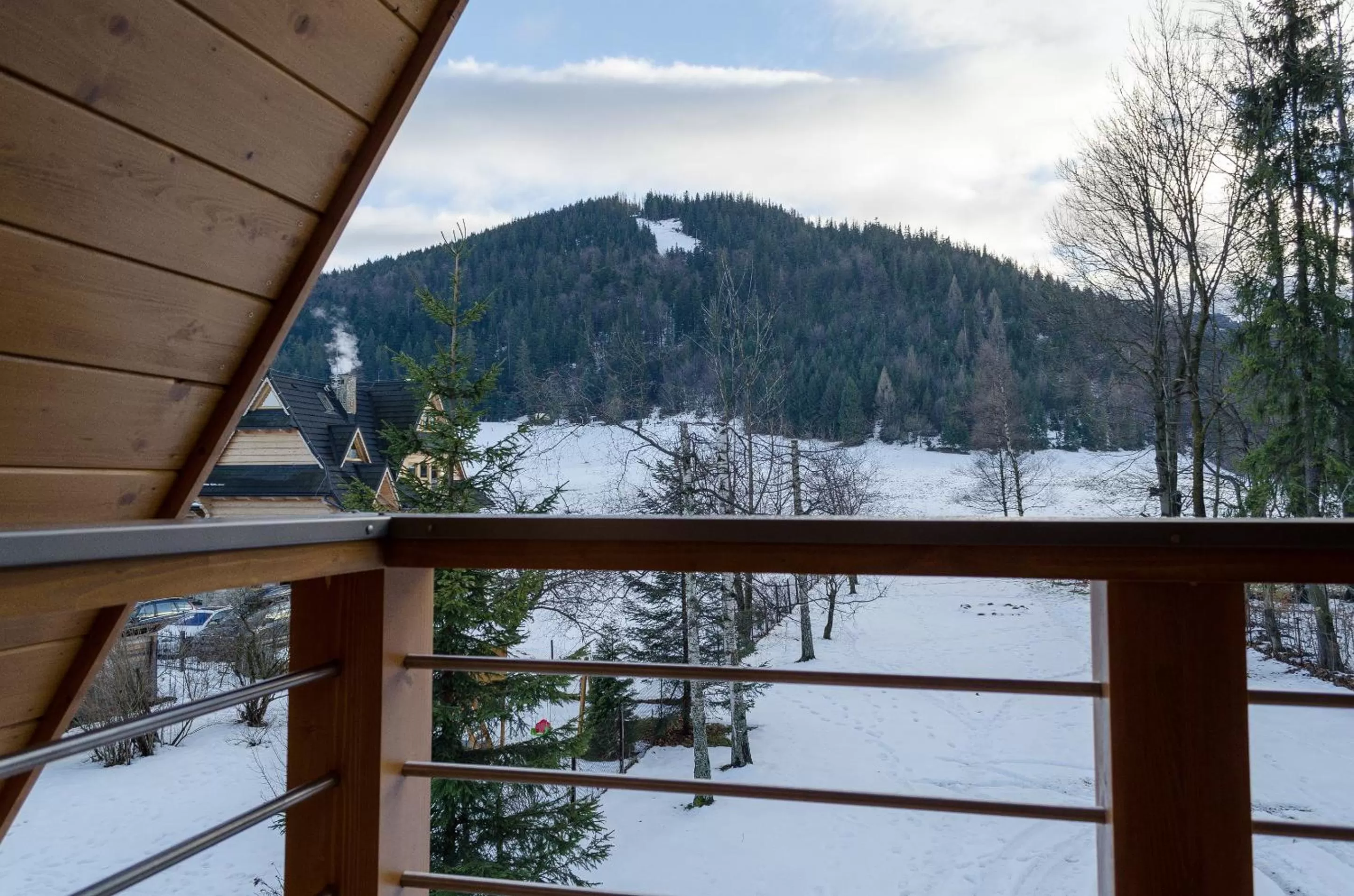 Skiing in VILLA NOSAL - Zakopane
