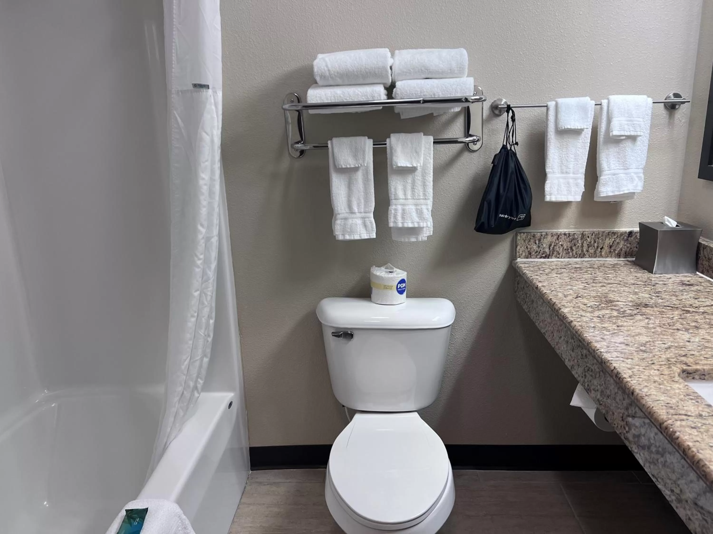 Toilet in Cobblestone Inn & Suites - Fort Dodge