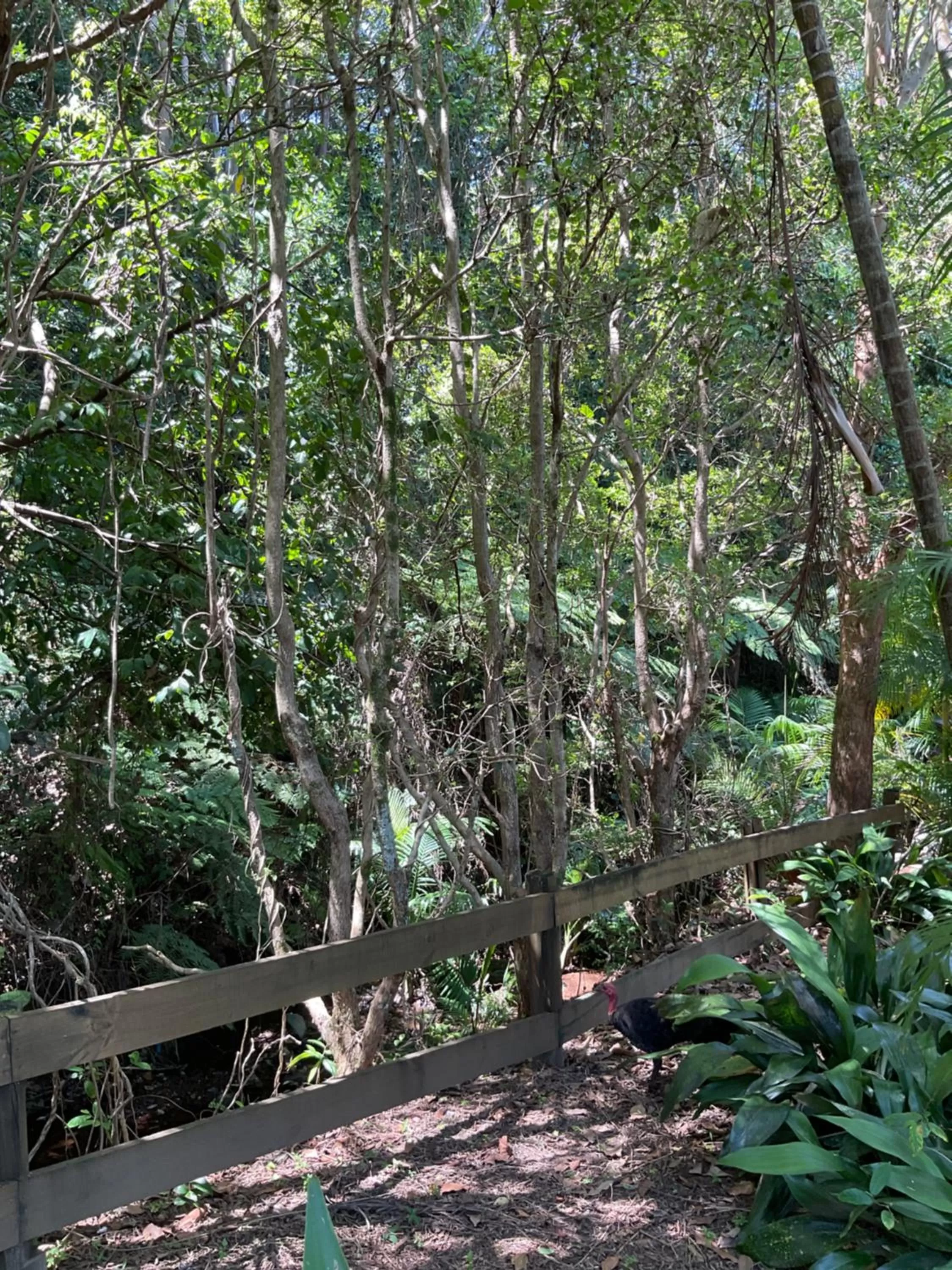 Private Suite Nautilus Beach Front Resort