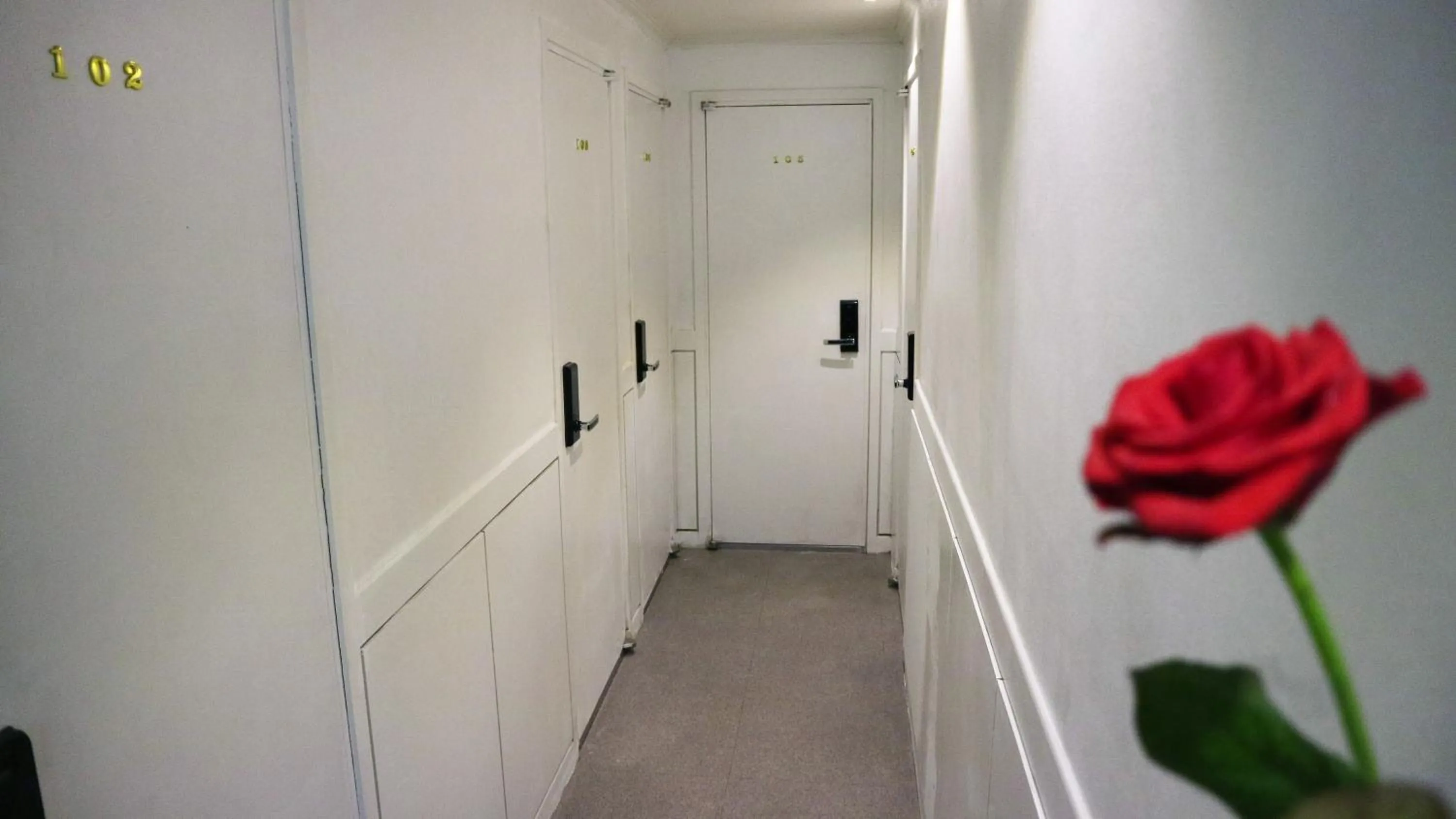 Hostel Korea - Original