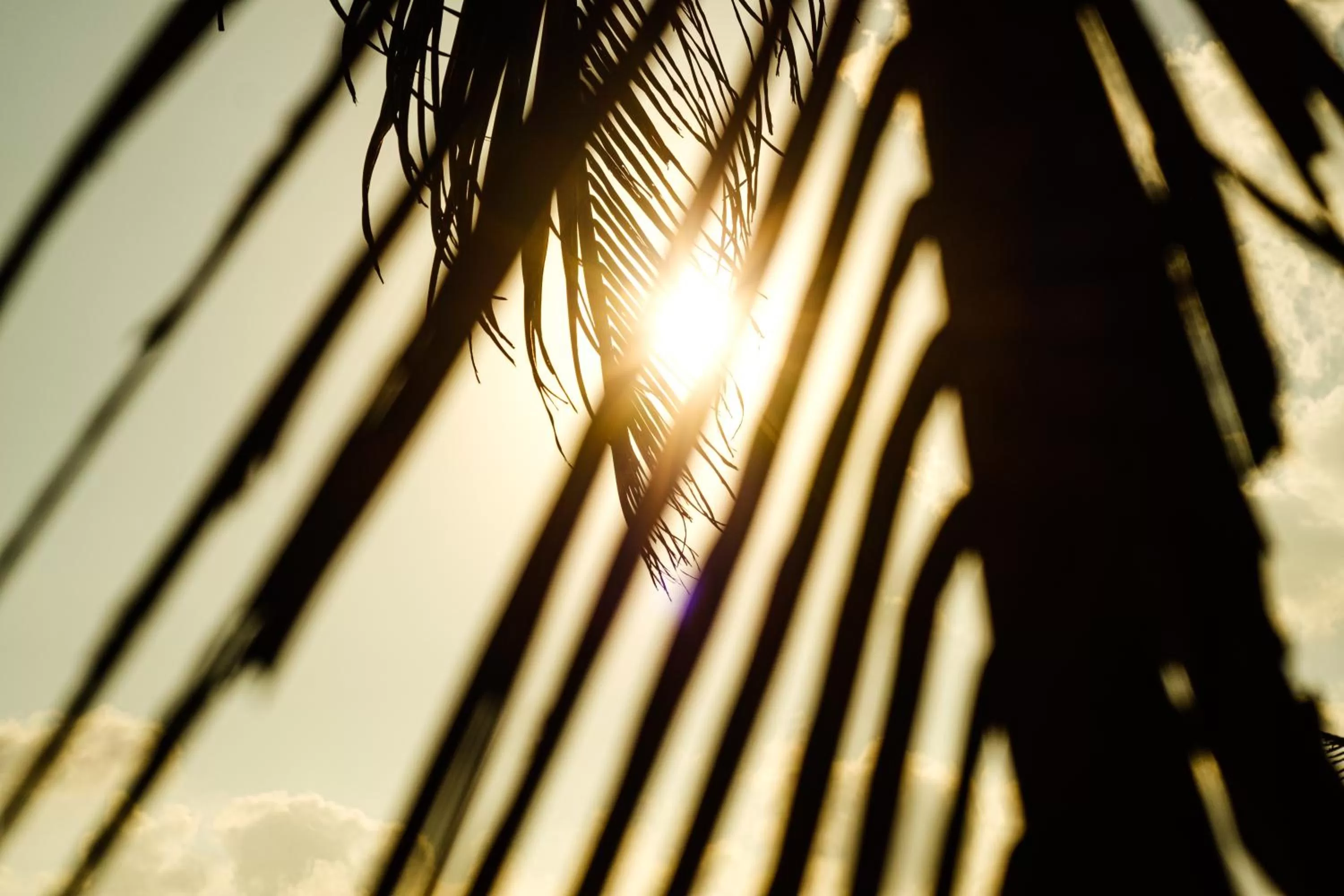 Sunset in The Seascape