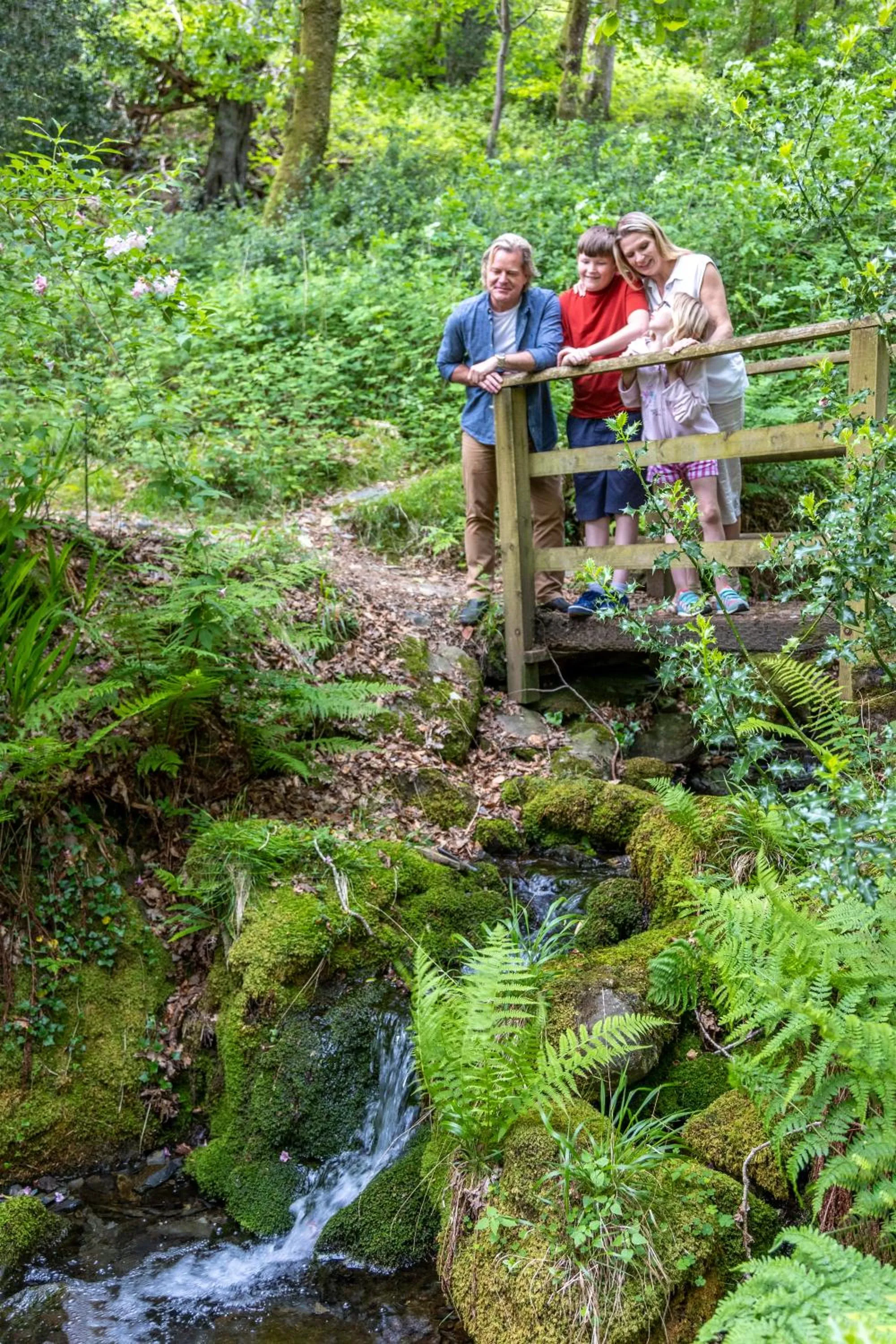 Natural landscape in Aberdunant Hall