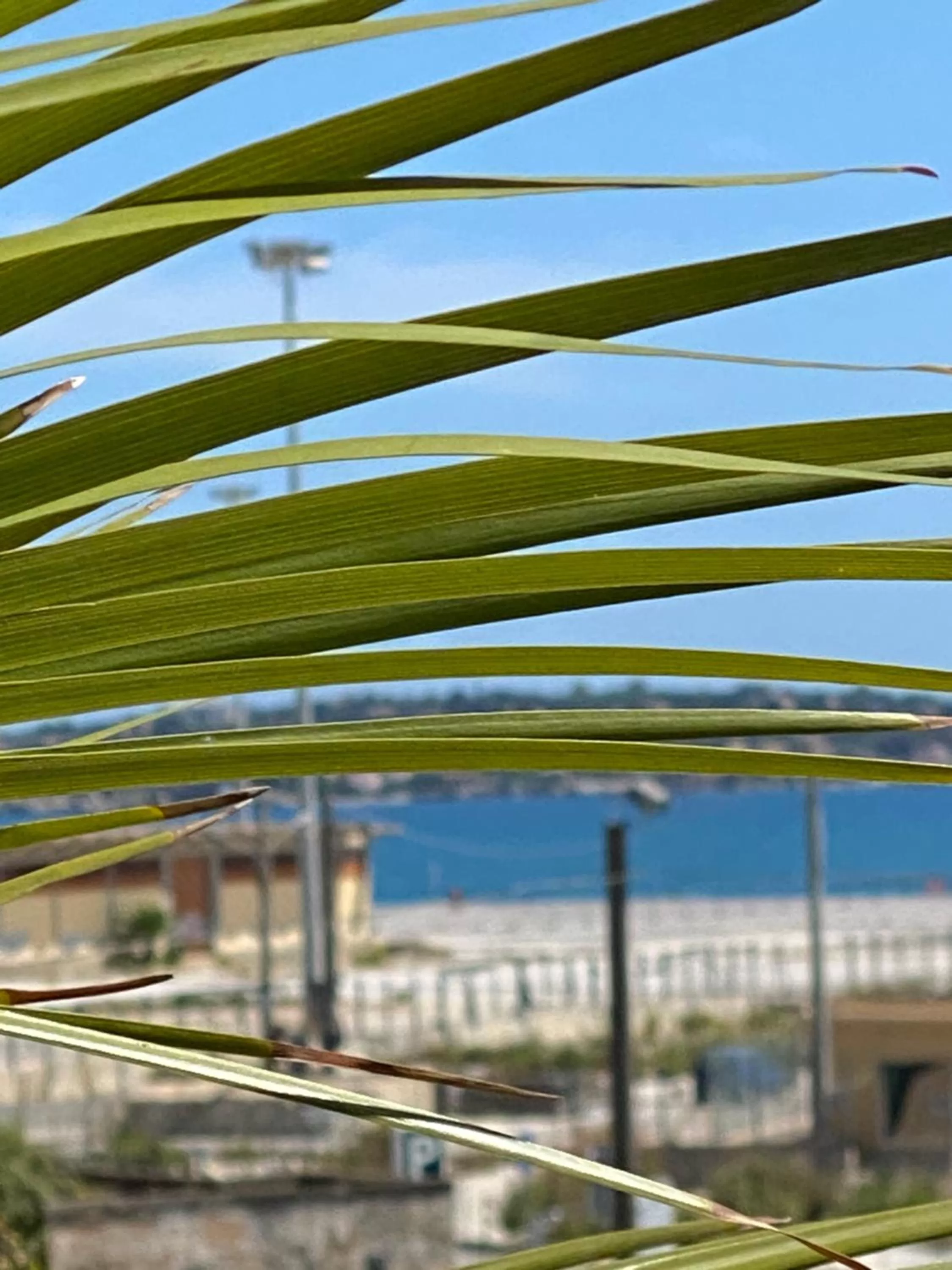 Facade/entrance in Near Ortigia