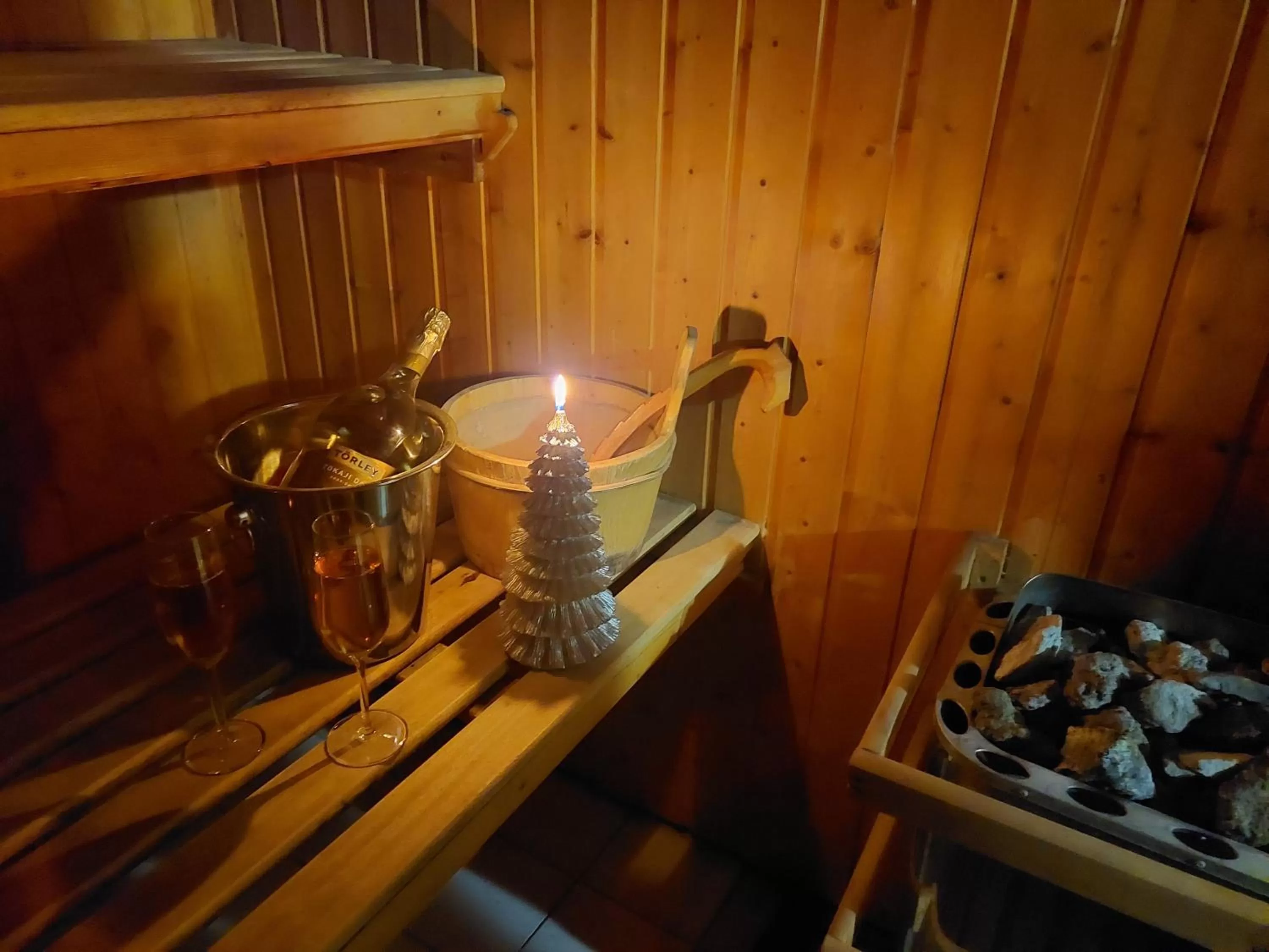 Sauna in Hotel Panorama