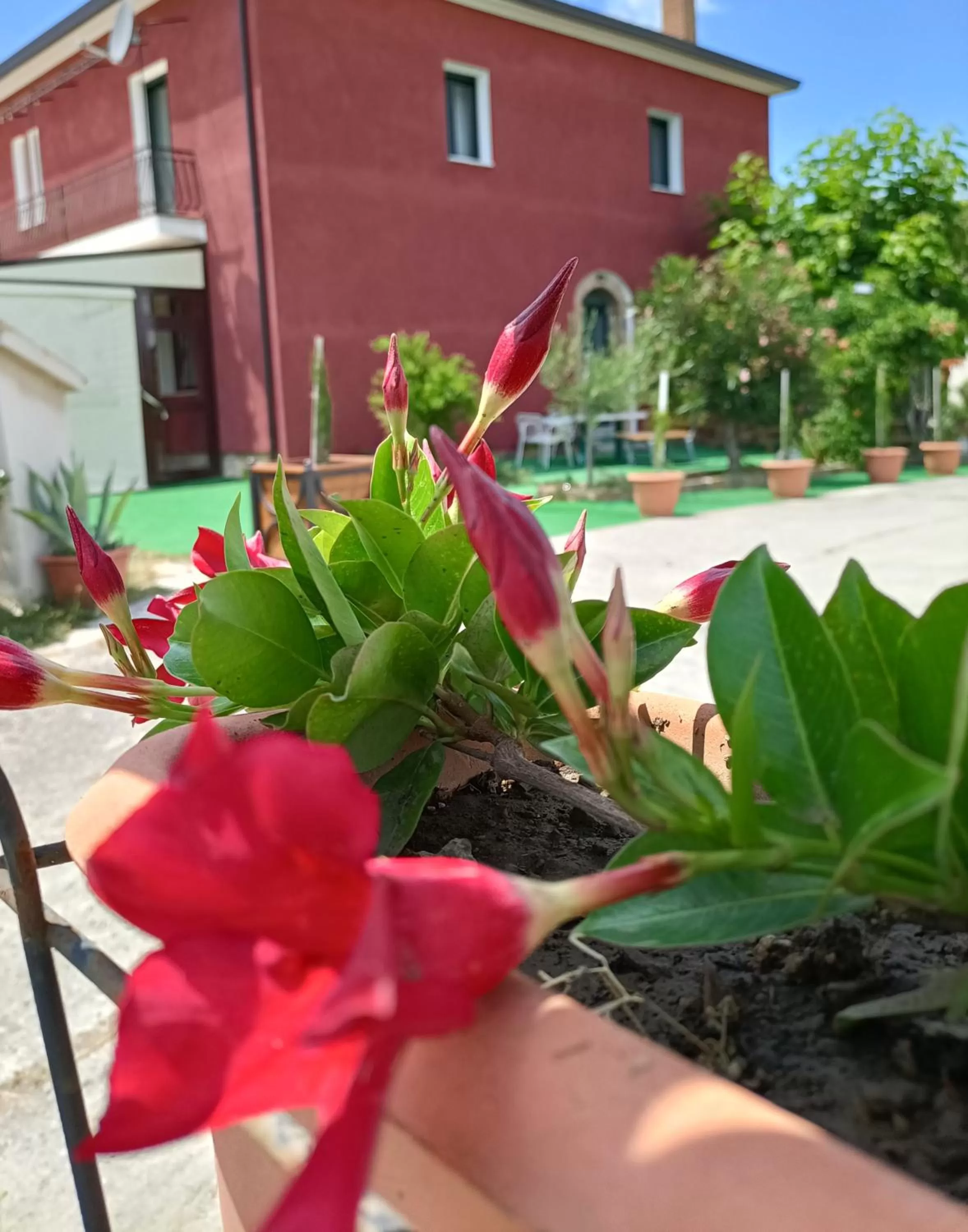 Spring in Agriturismo Macchia dei briganti - b&b