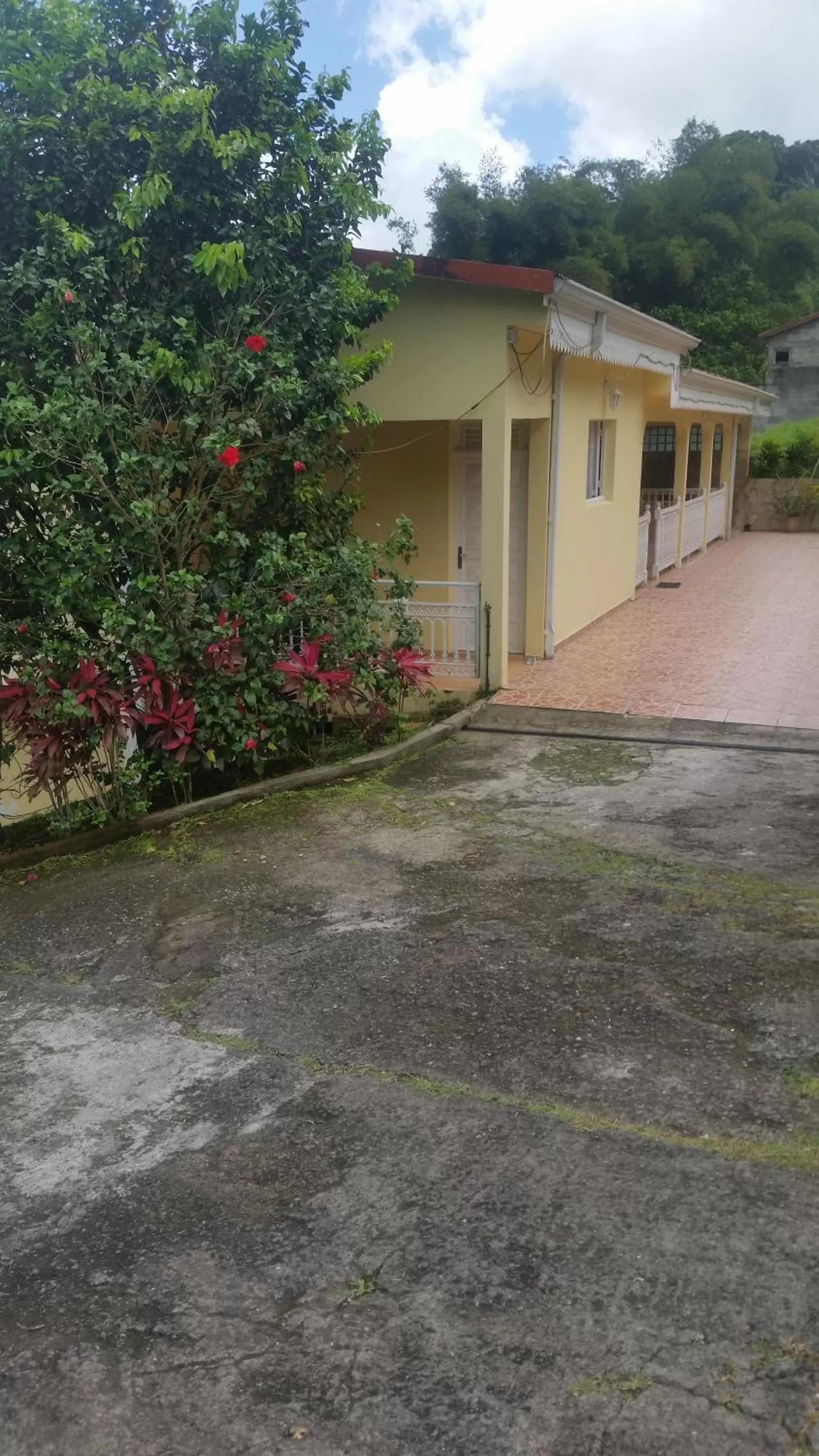 View (from property/room), Property Building in L'Oliveraie