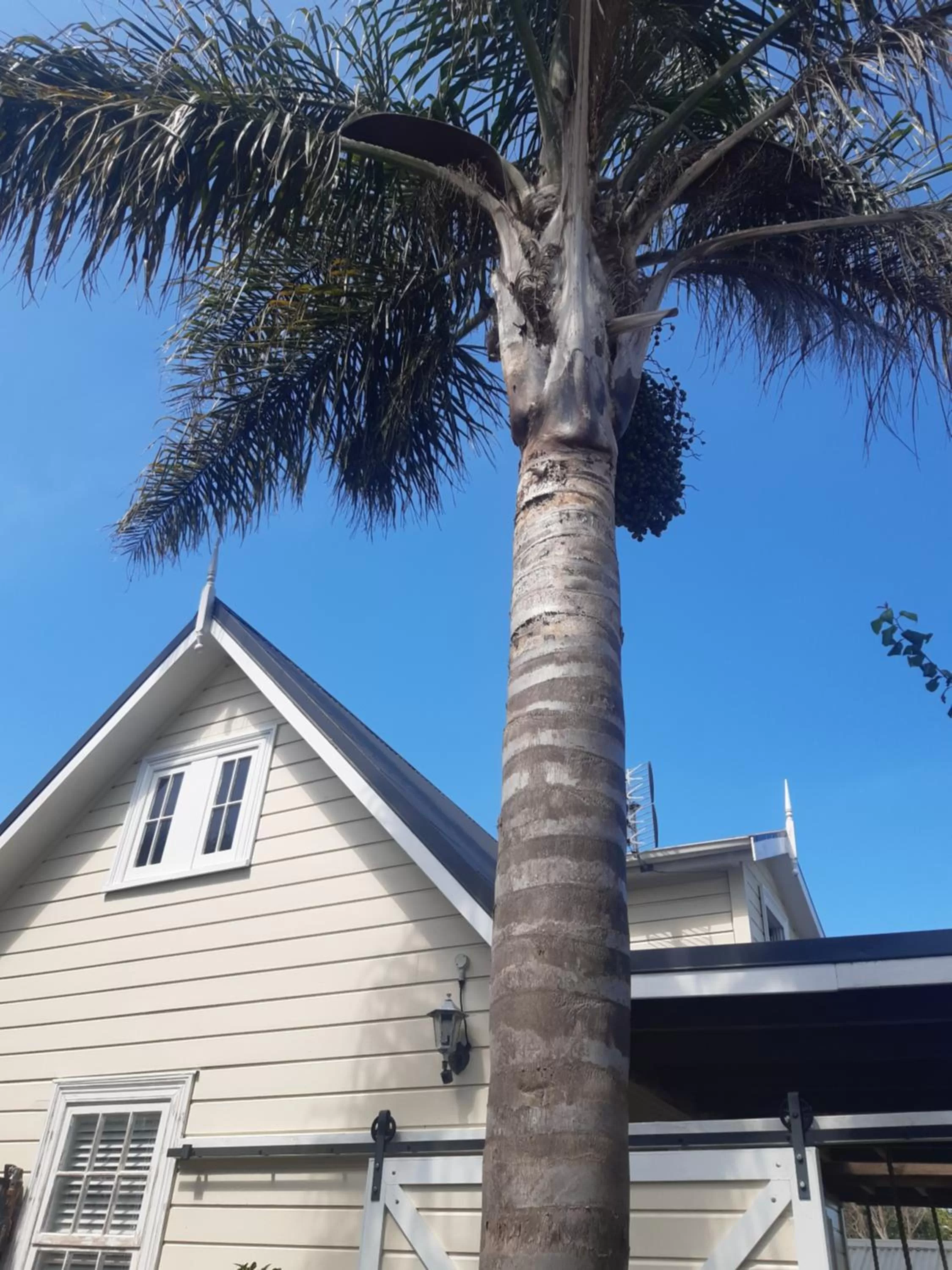 Property building in Harbour View Cottage