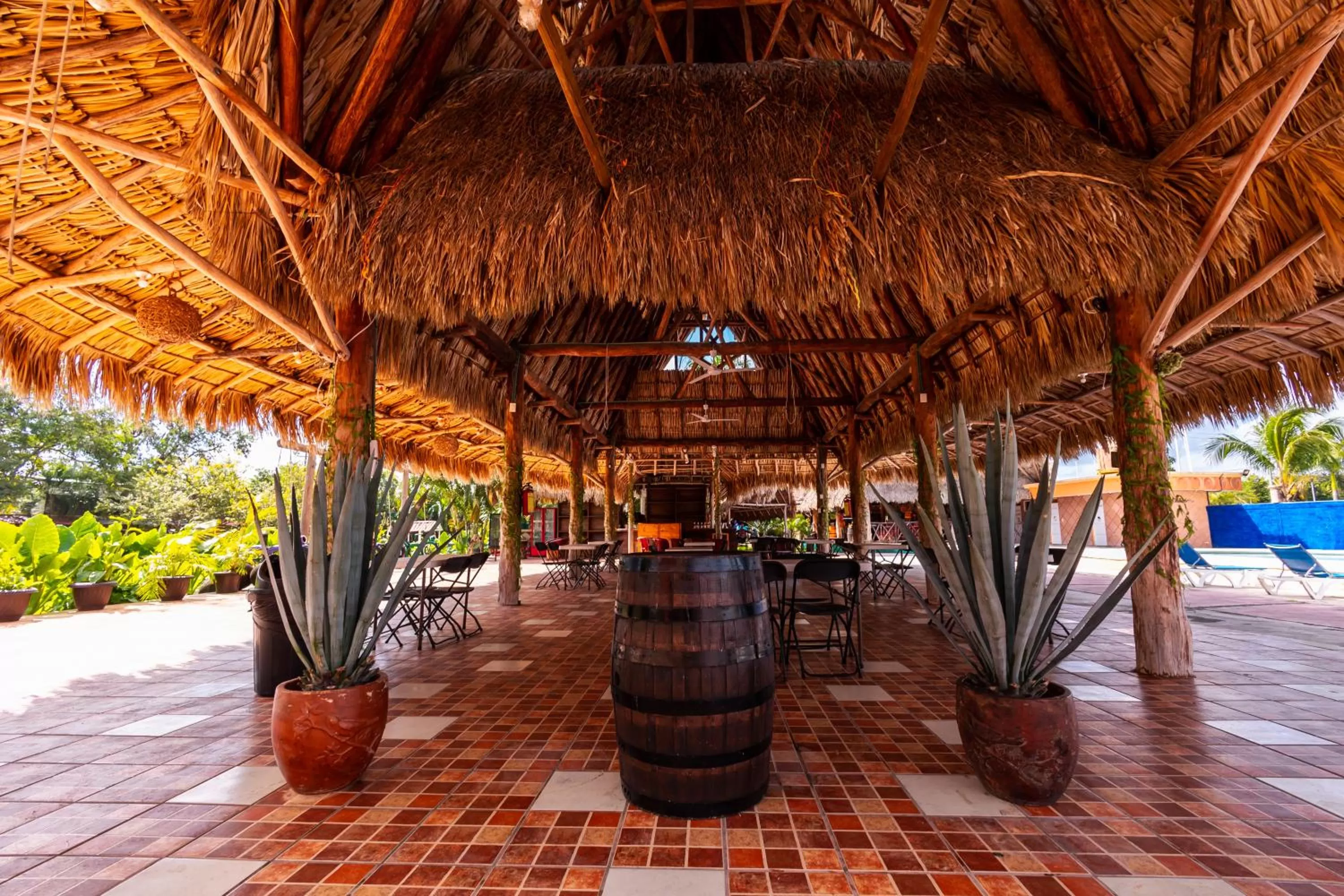 Patio in Hotel Bello Caribe Express