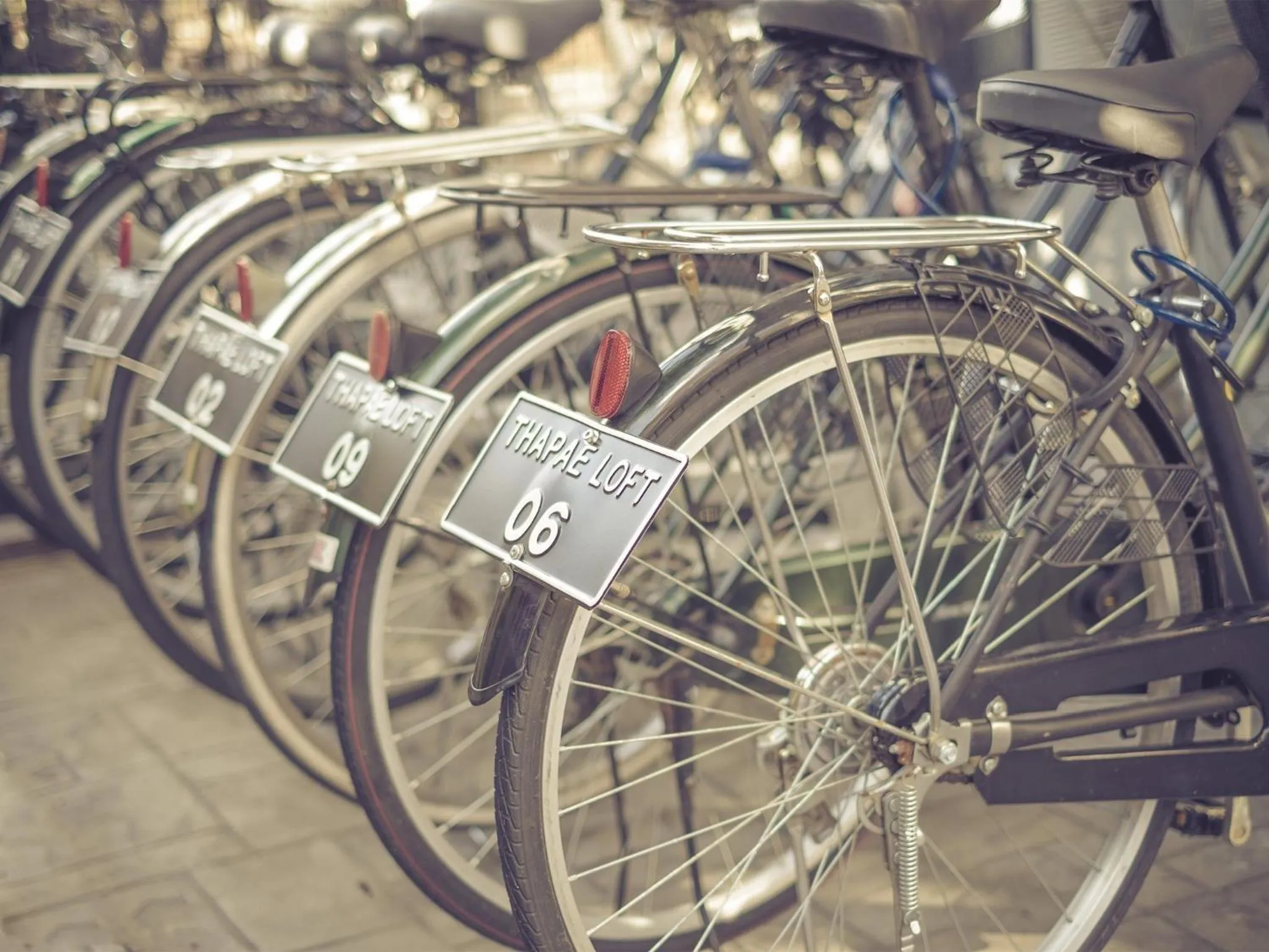 Area and facilities in Thapae Loft