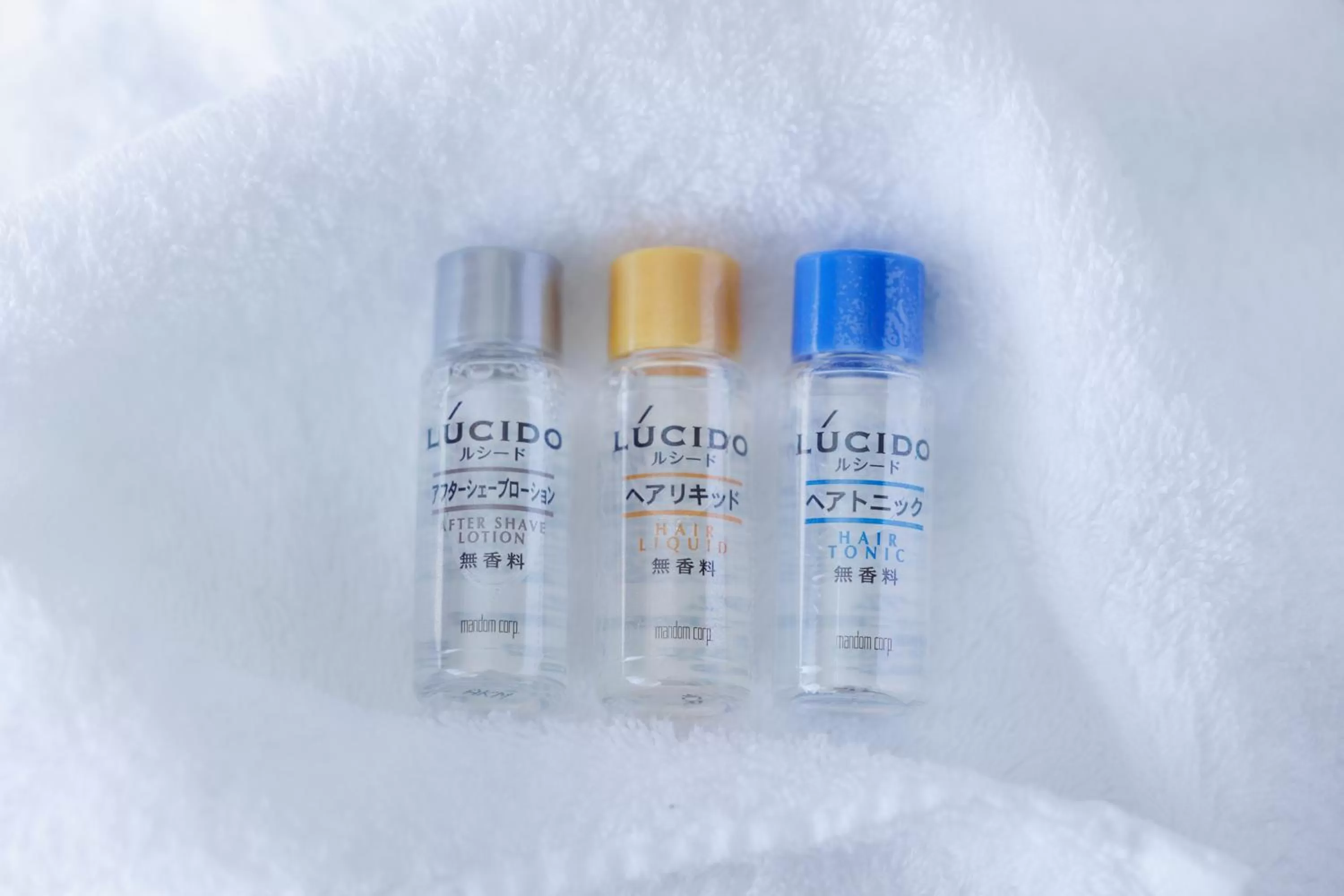 Photo of the whole room in Dai-ichi Hotel Tokyo