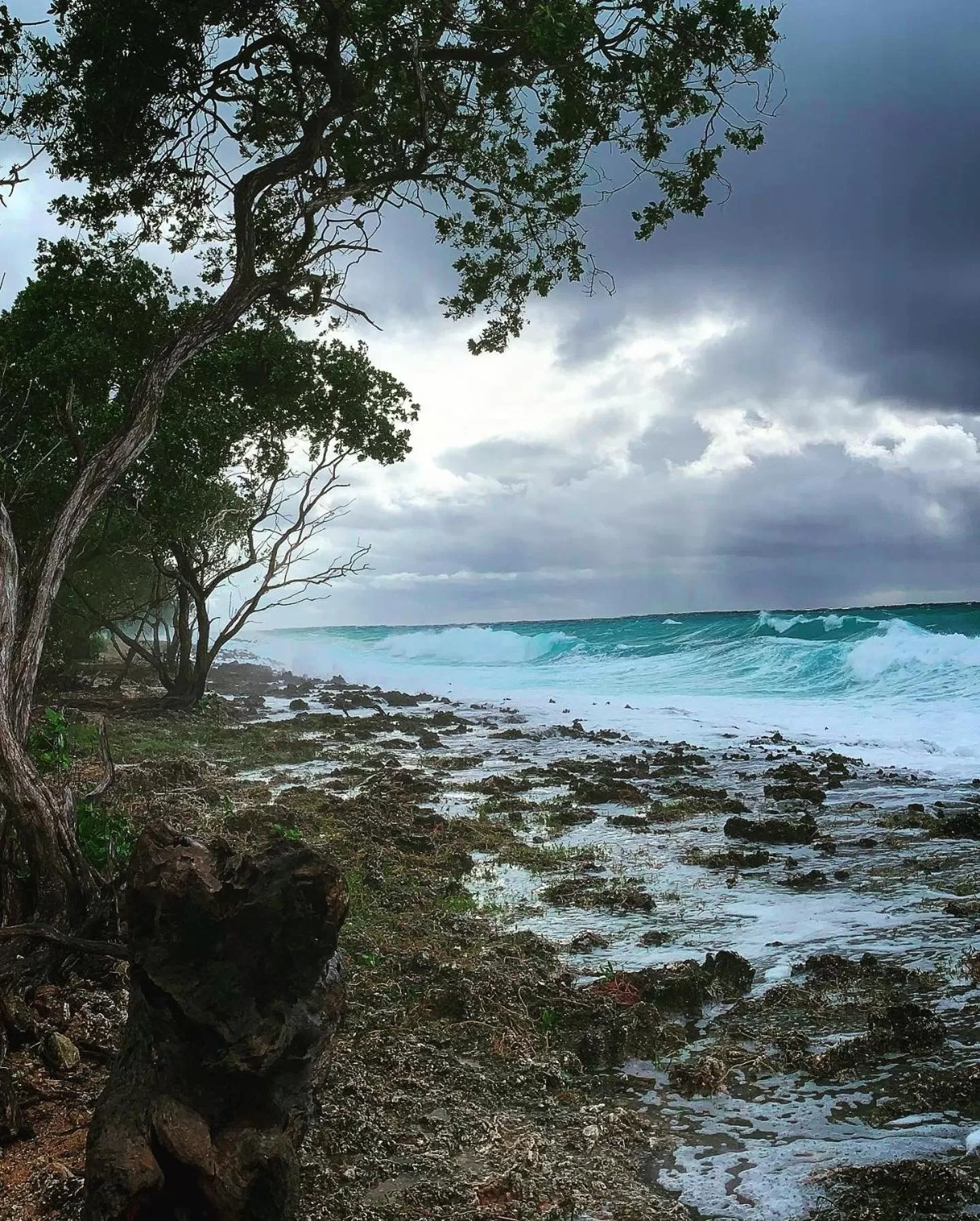 Natural landscape in In Di House of Reggae Boutique