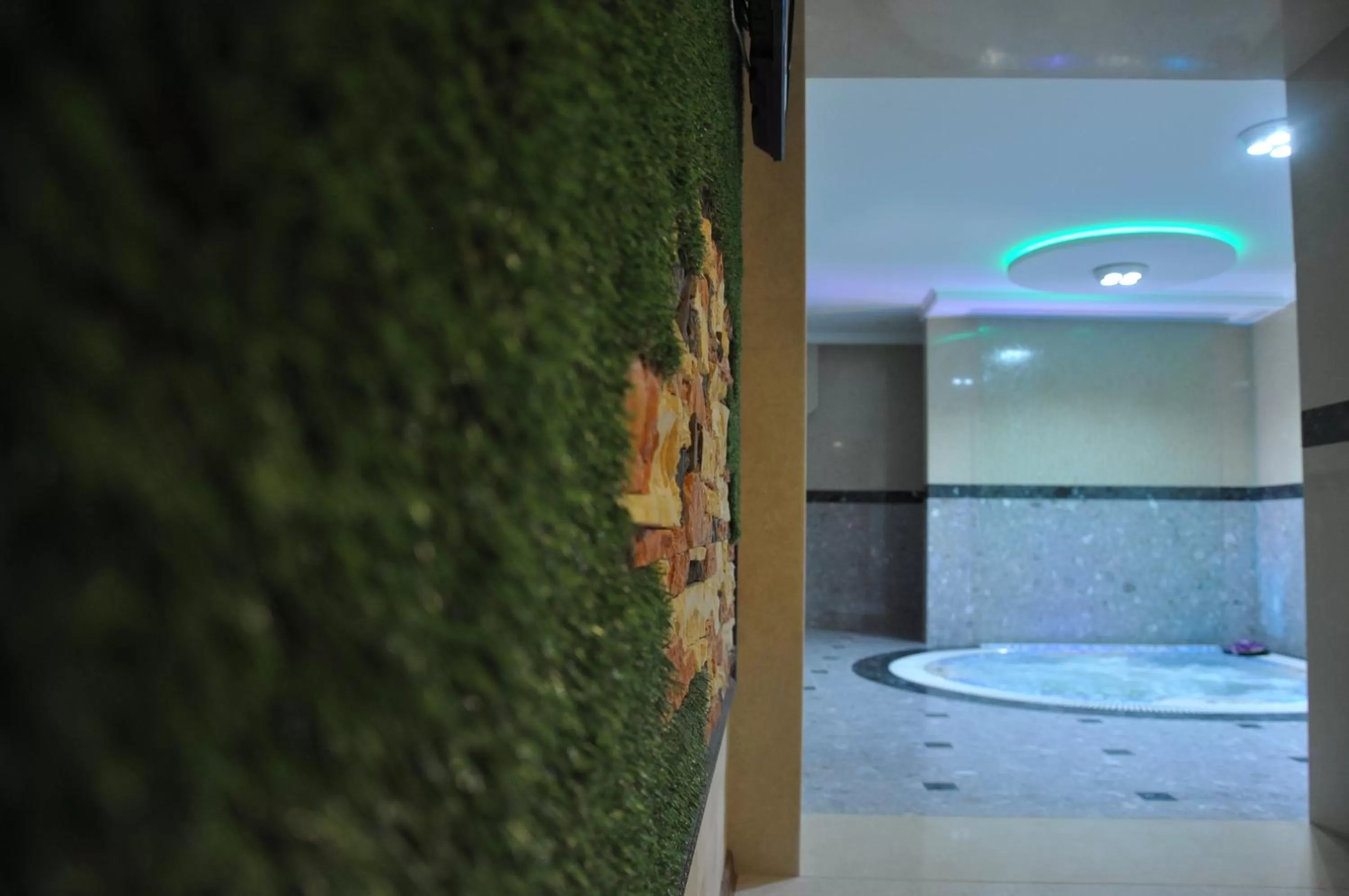 Spa and wellness centre/facilities in Hotel Villa Natali