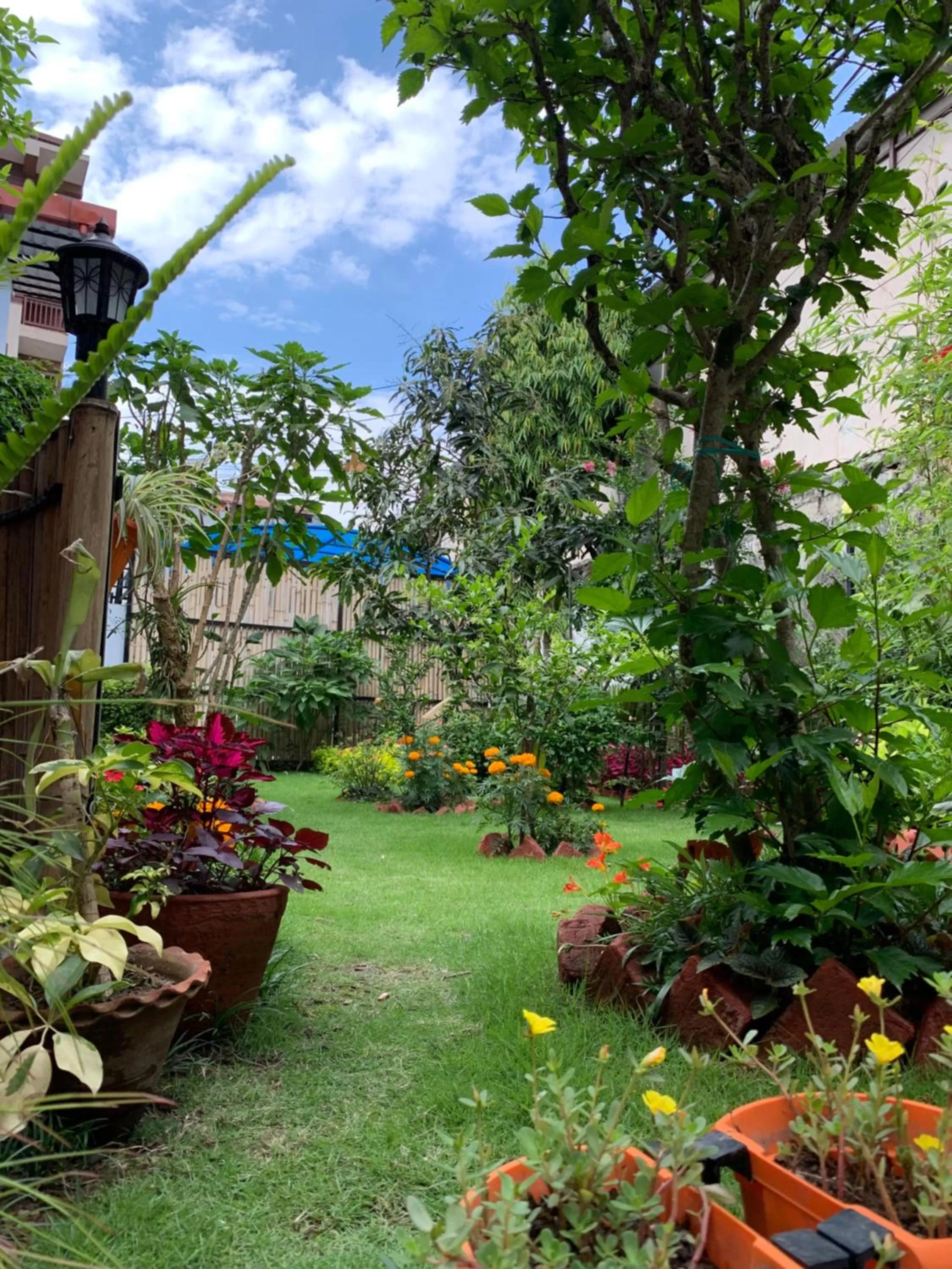 Natural landscape, Garden in Hotel ABC, Boutique Hotel in Pokhara