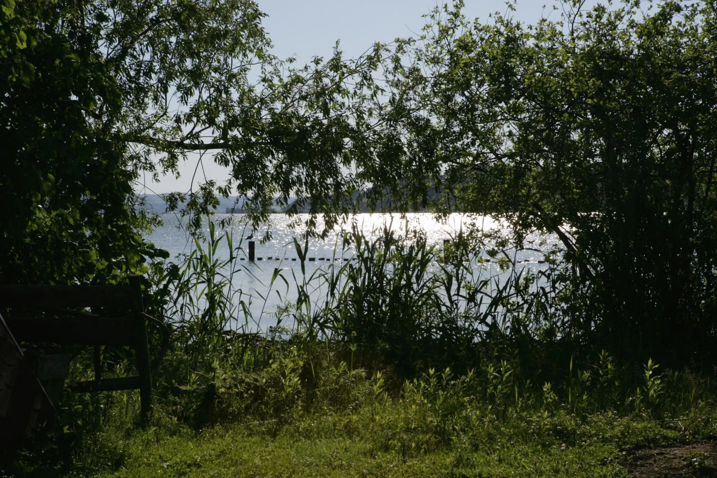 Area and facilities in Strandhotel Schmerikon