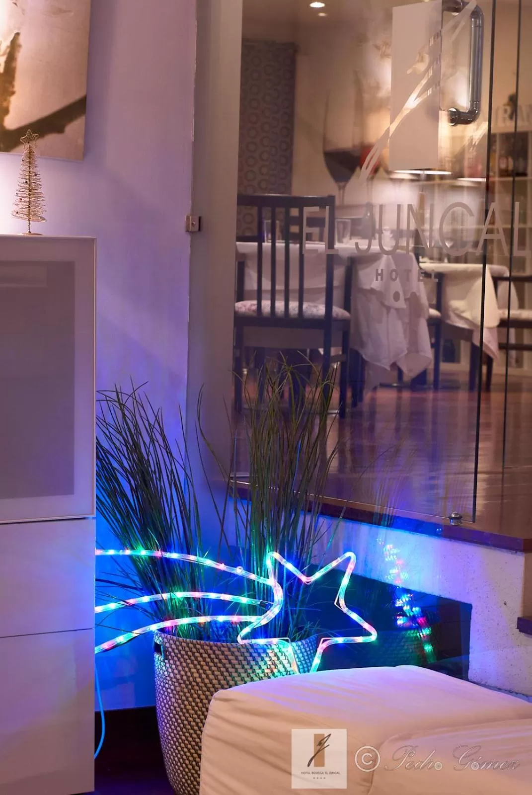 Lobby or reception in Hotel Bodega El Juncal