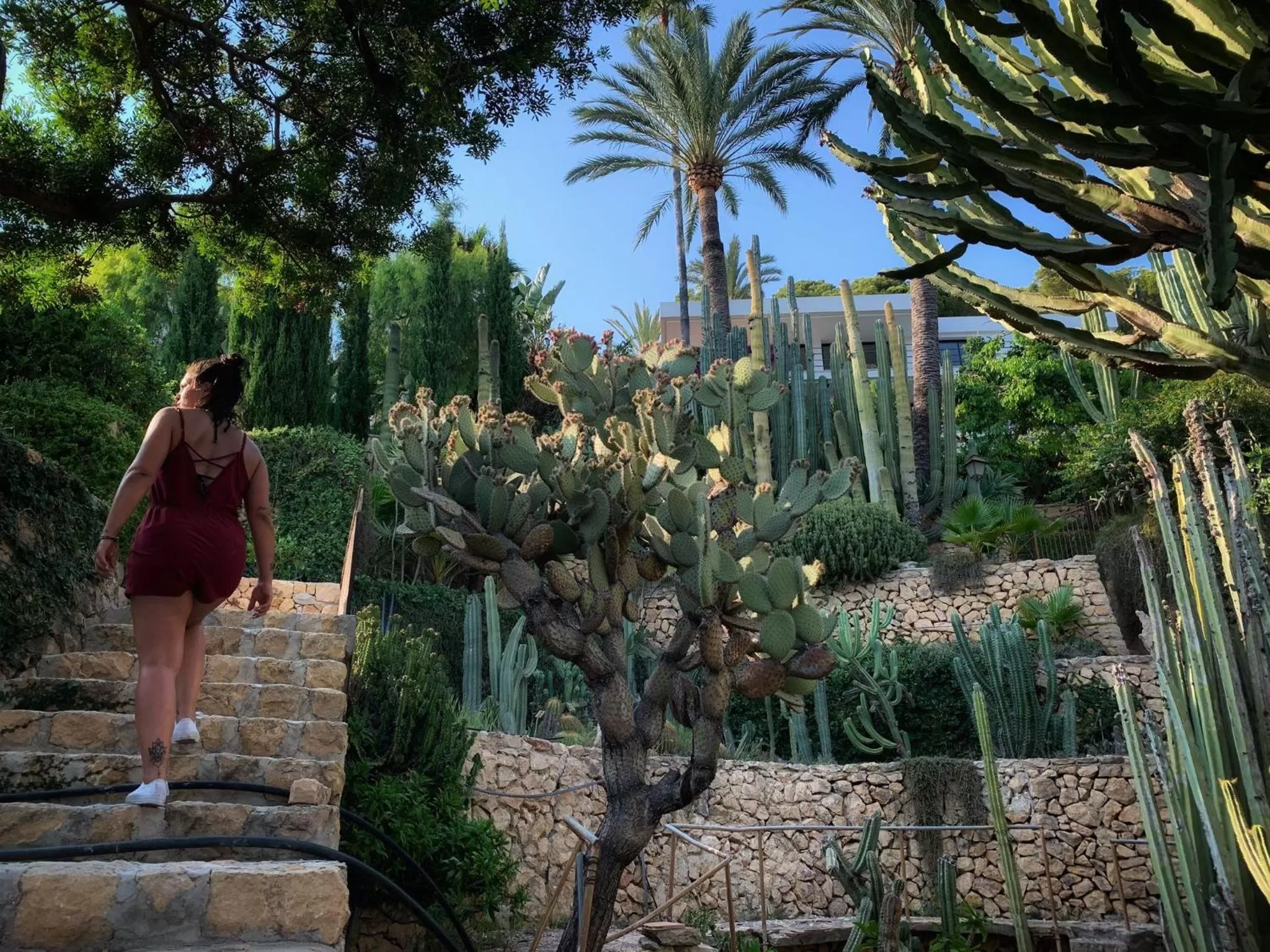 Garden in El jardin Botánico Villa LUZ