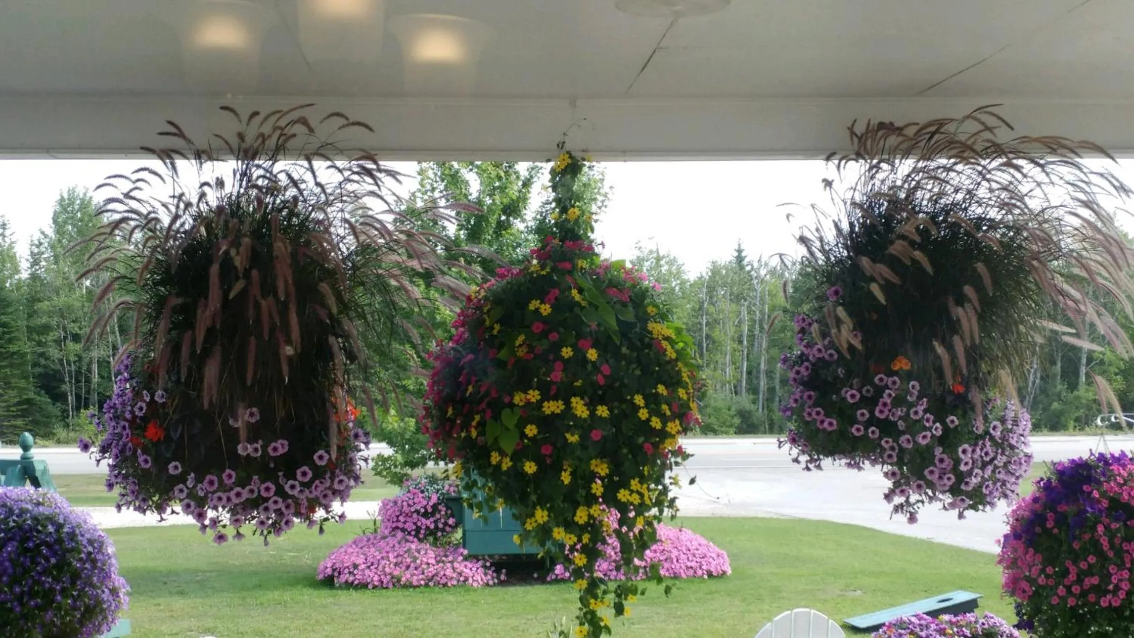 Sunset Motel at Armand's Gardens