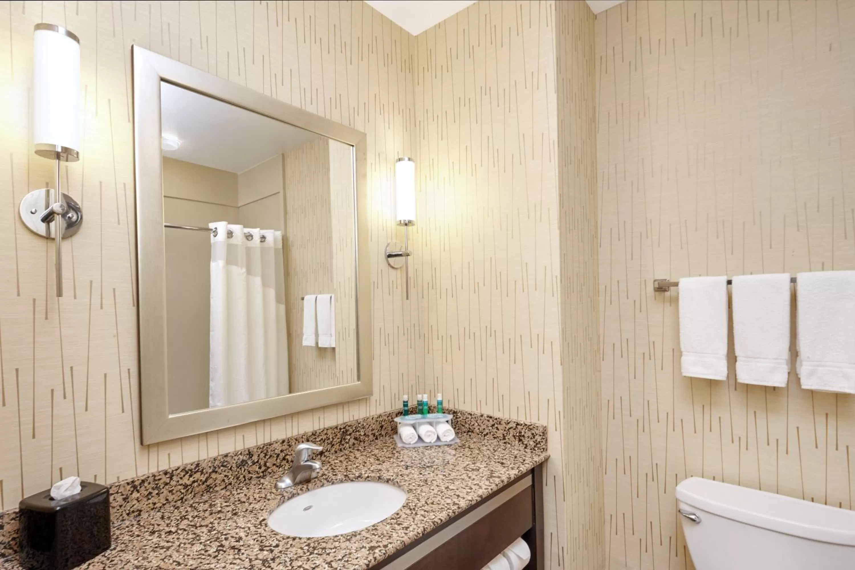 Bathroom in Holiday Inn Express and Suites Columbia University Area by IHG