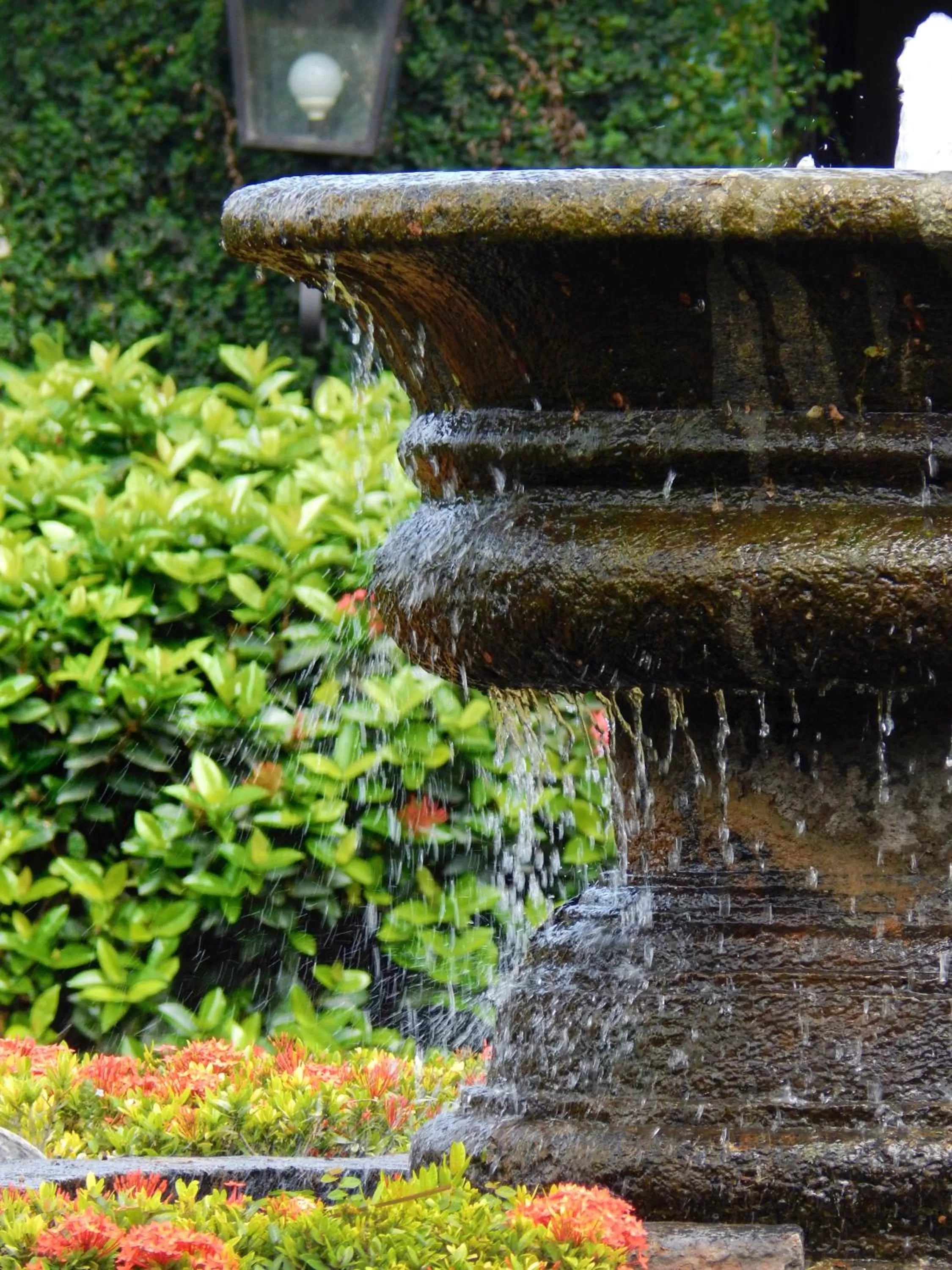 Natural landscape in Hotel El Convento Leon Nicaragua