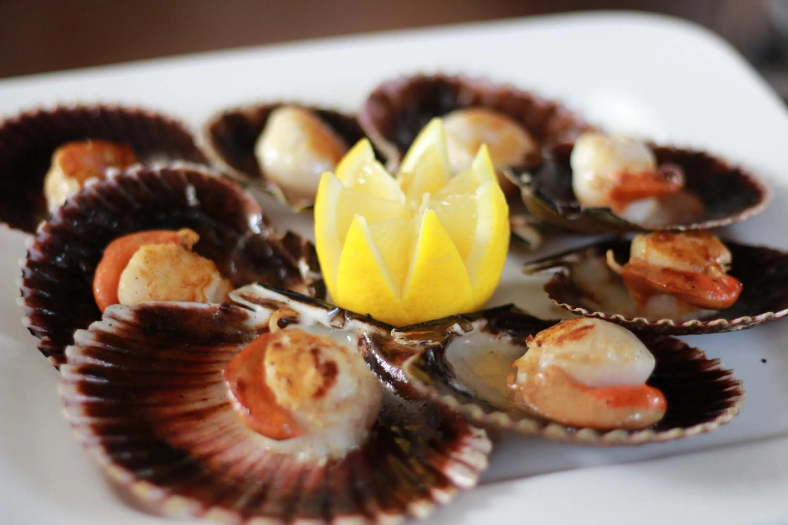 Restaurant/places to eat in Hotel Cosmopol