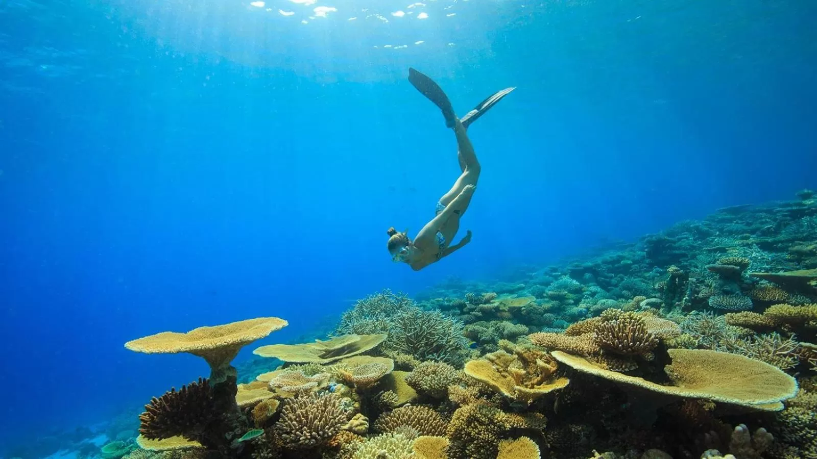 Snorkeling in Huvan Beach Hotel at Hulhumale