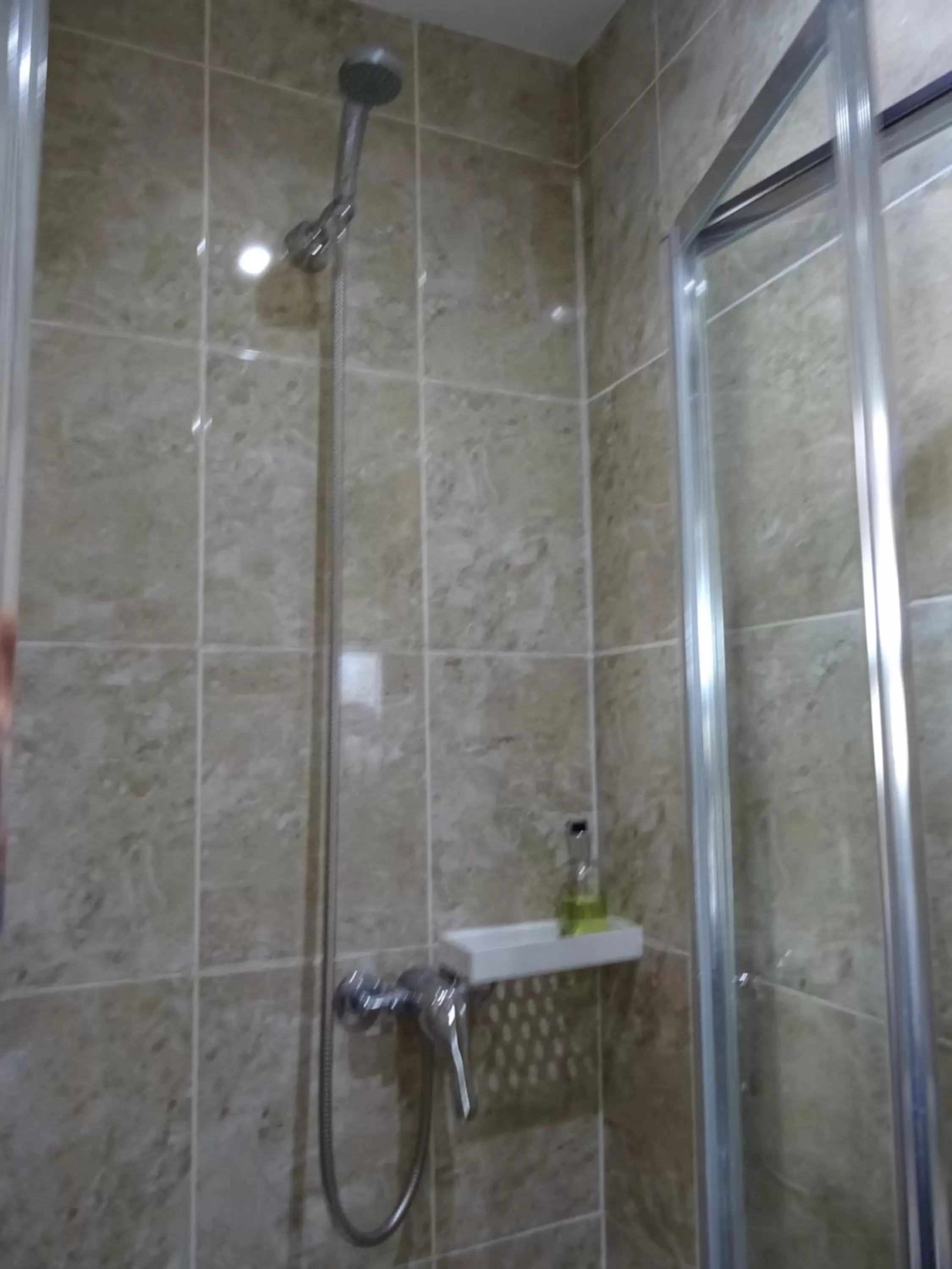 Shower in The Gatwick White House Hotel