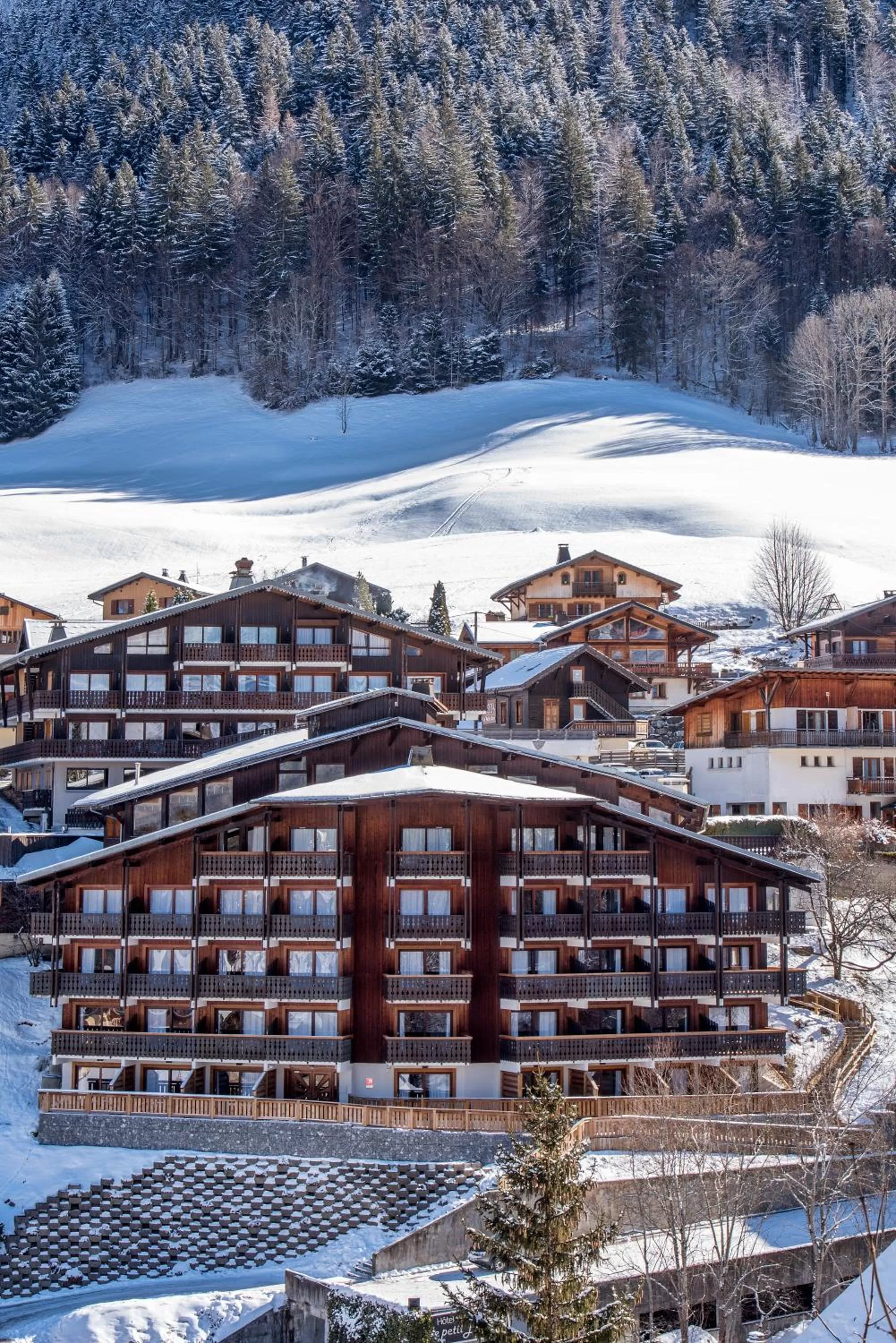 Facade/entrance in Hotel le Petit Dru