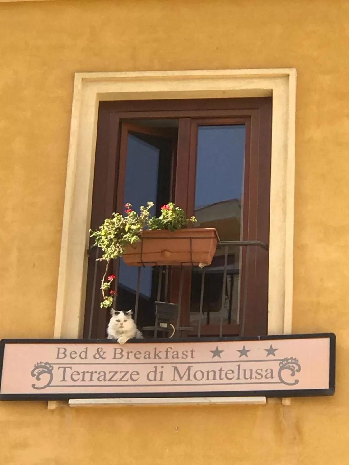 terrazze di montelusa
