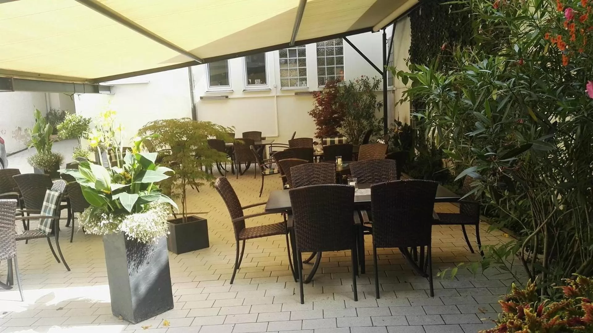 Restaurant/places to eat in Hotel Grüner Baum