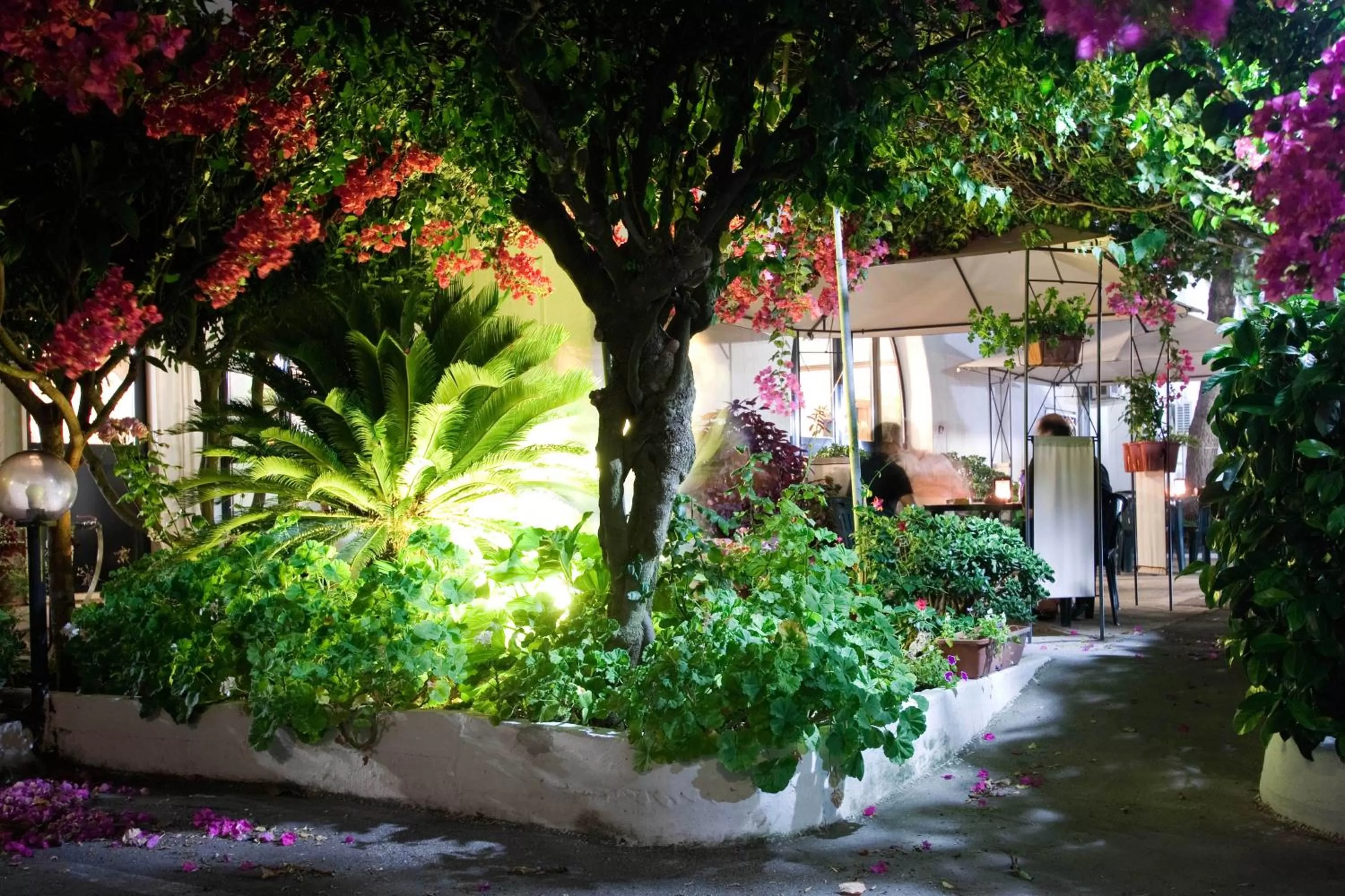 Garden in Hotel Residence Nemo