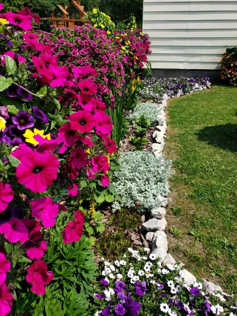 Sunset Motel at Armand's Gardens