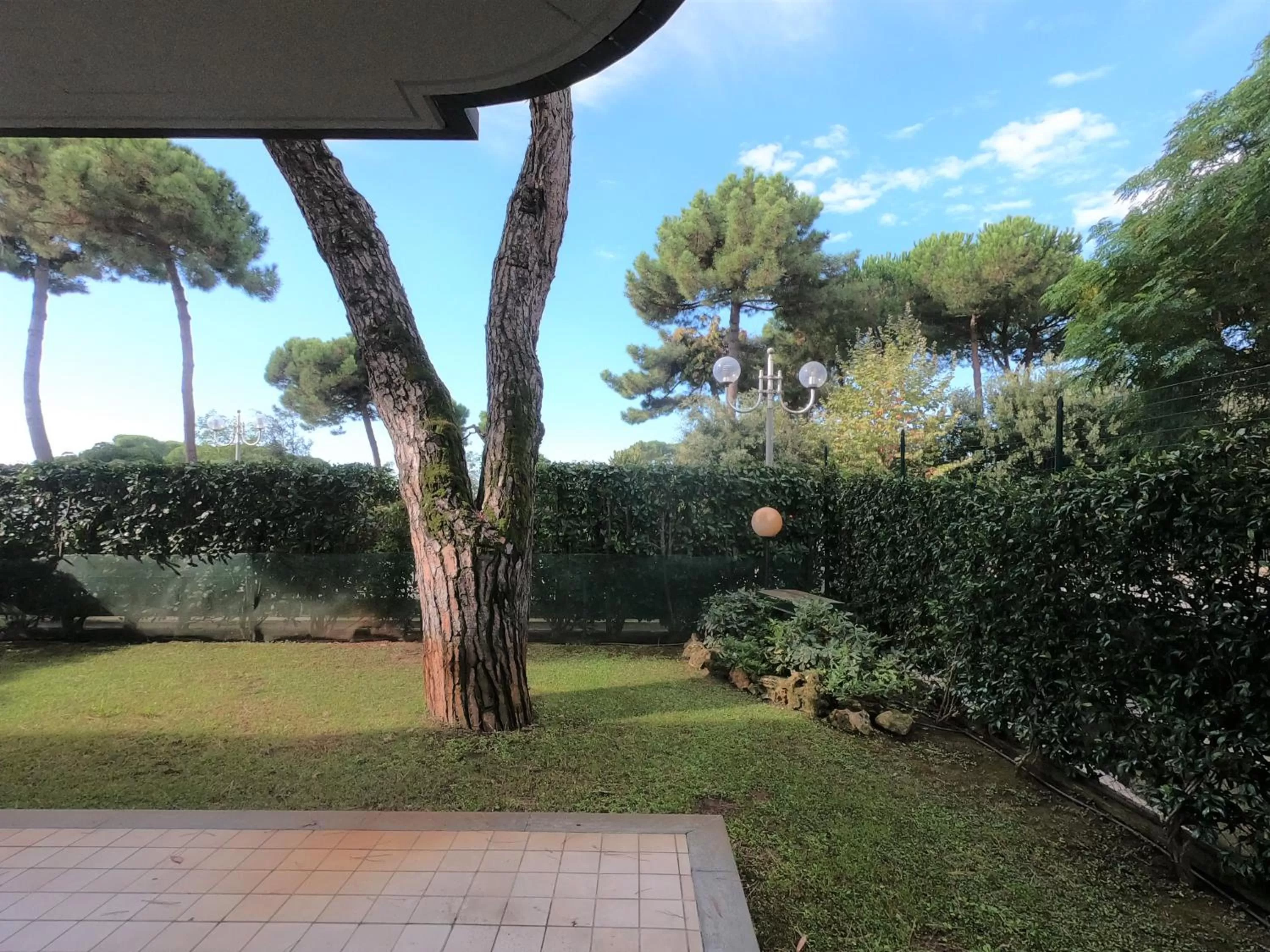 Garden in Michelangelo rta