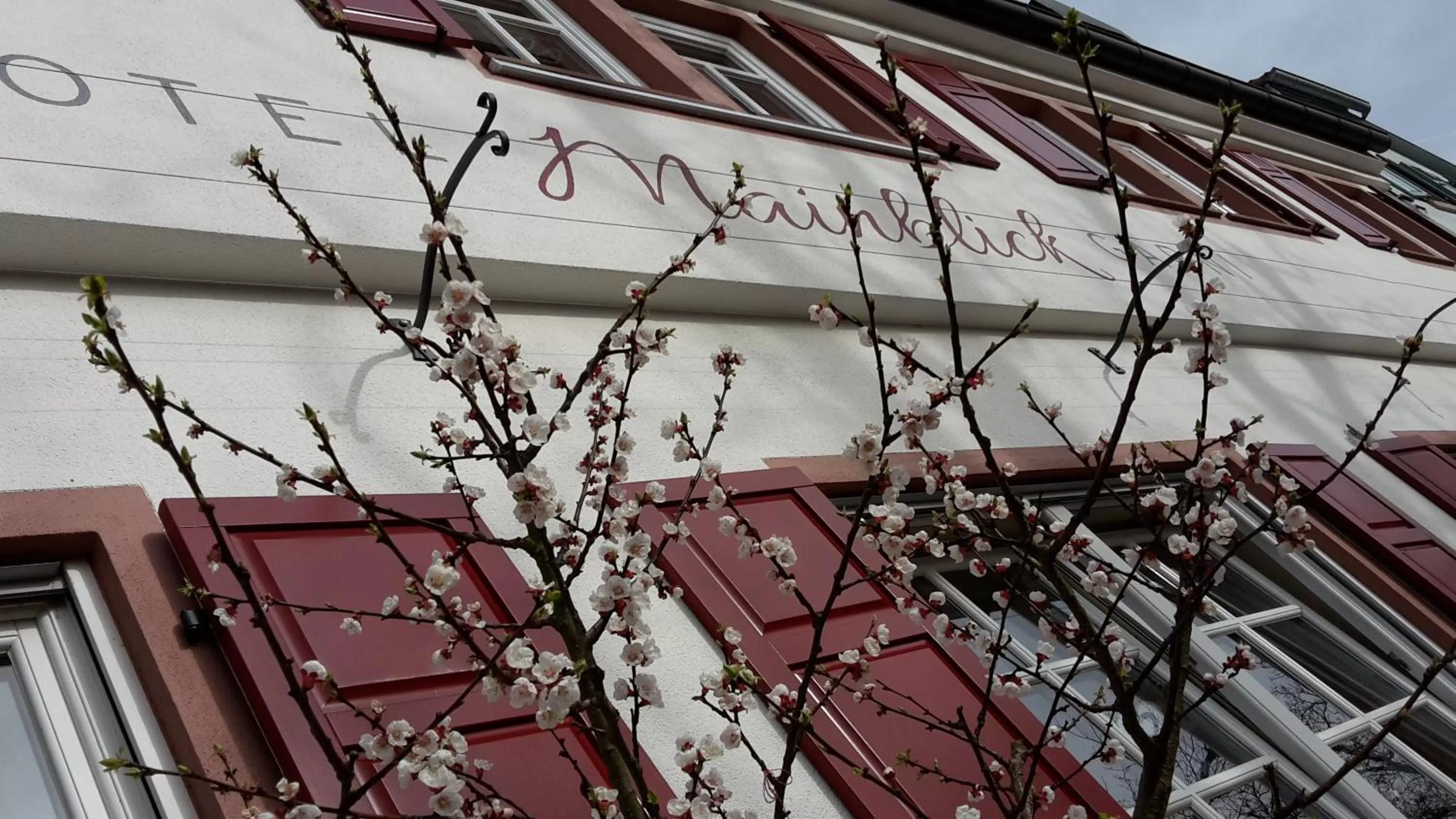 Property building in Hotel Mainblick Garni