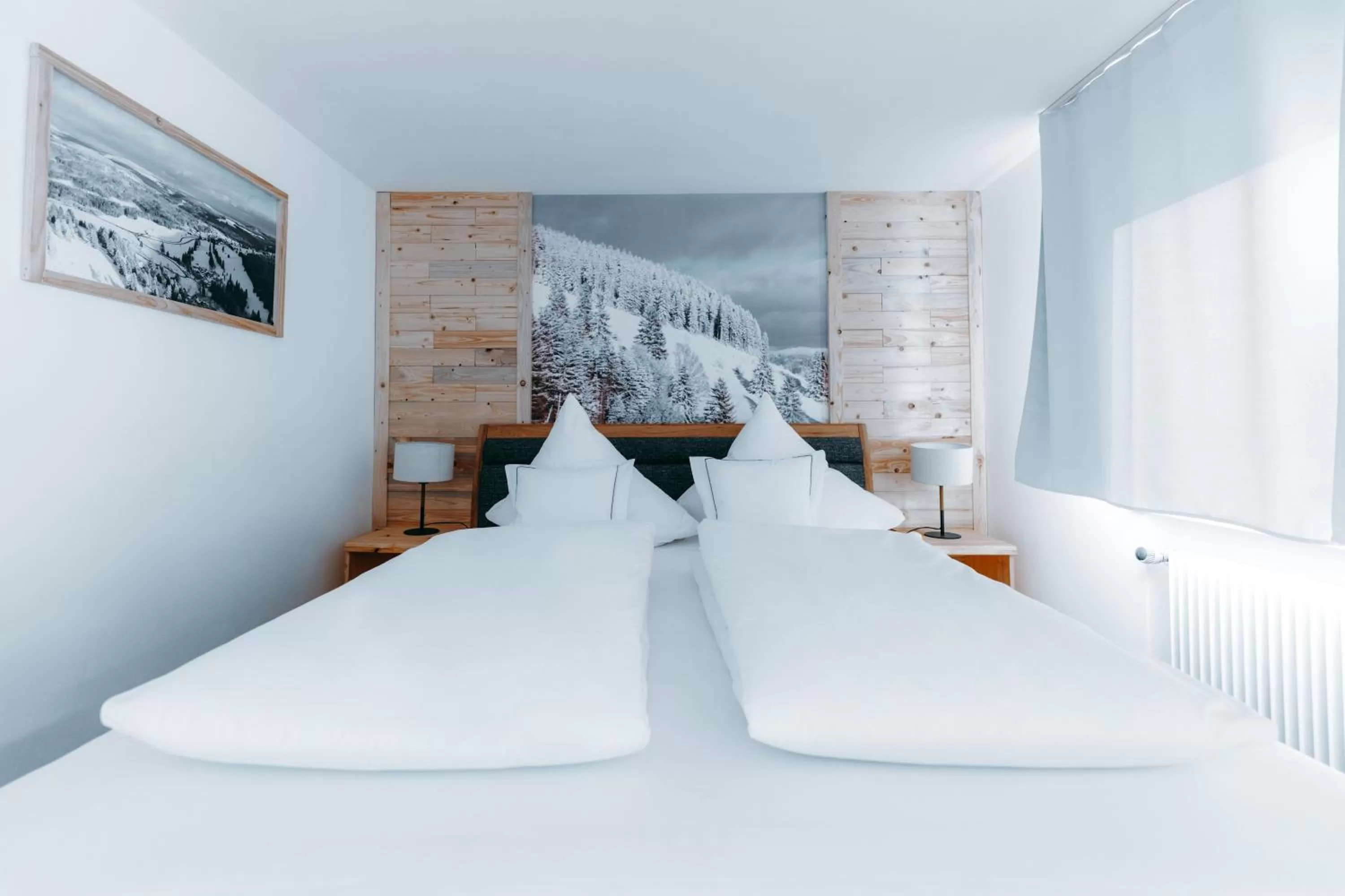 Bed in Black Forest Dream Apartments