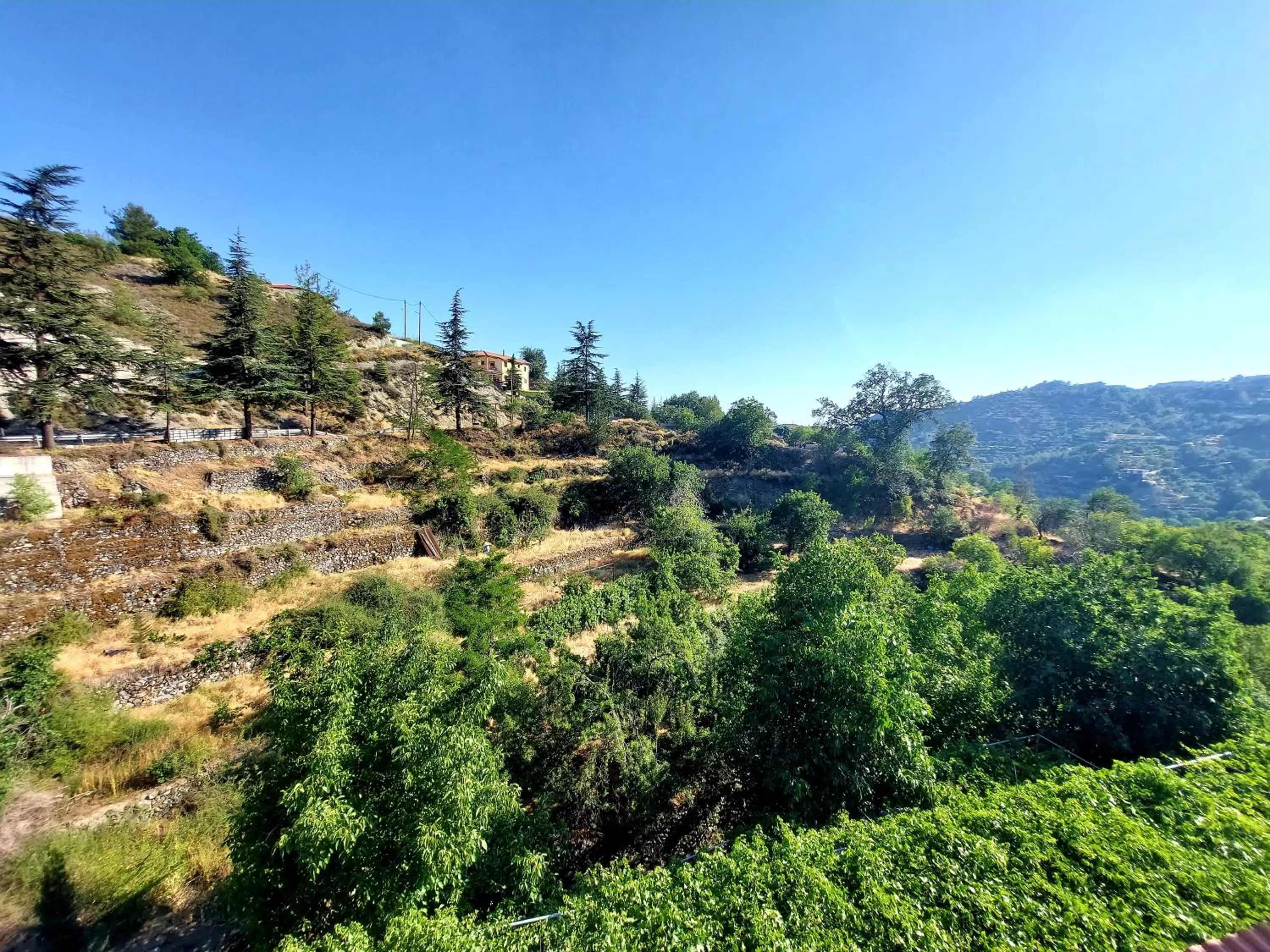 Natural landscape in Agros Green Valley Suites