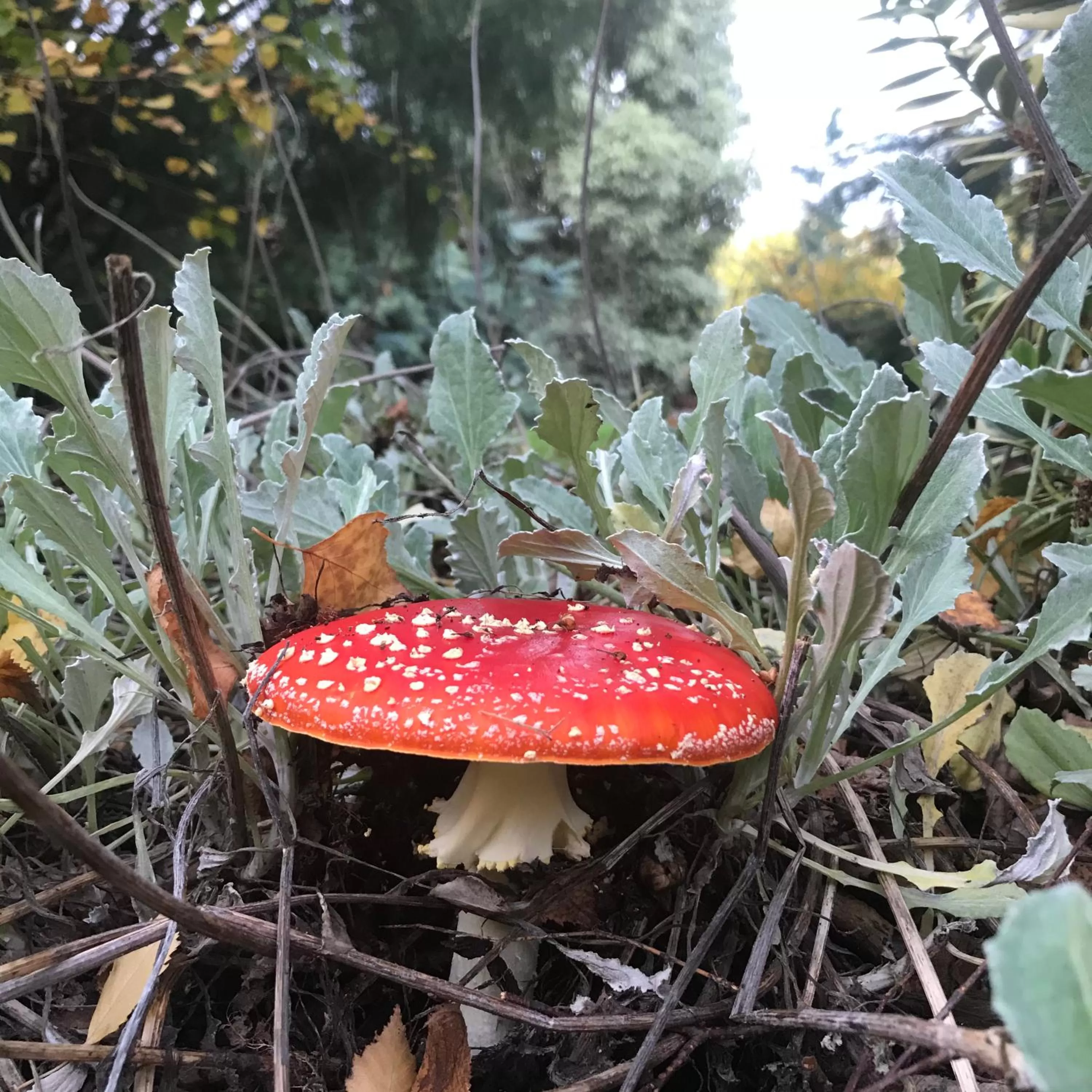 Hillside Bed and Breakfast